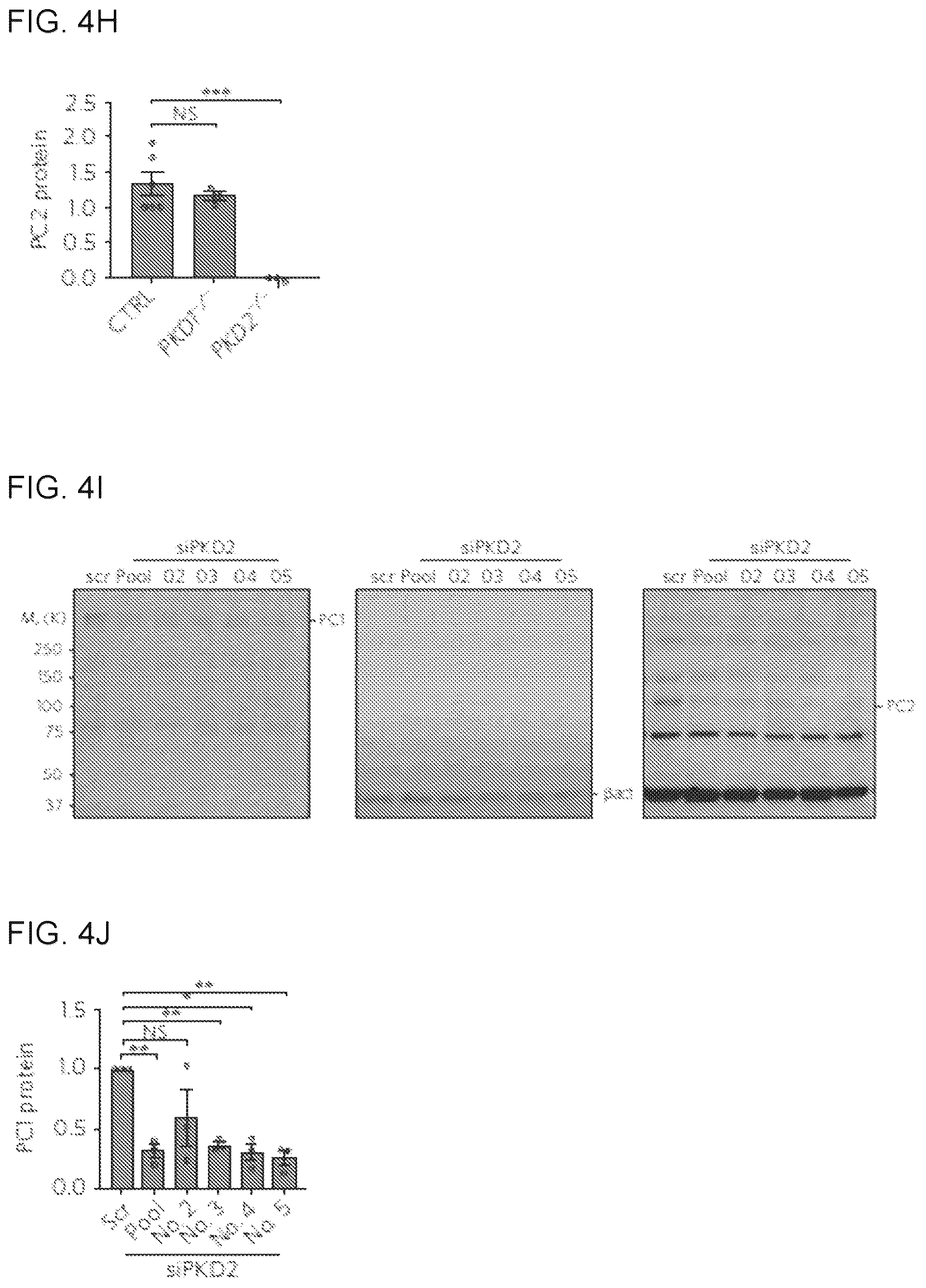 Patent US12320800 Figure 13 – High-throughput automation of organoids for identifying therapeutic strategies