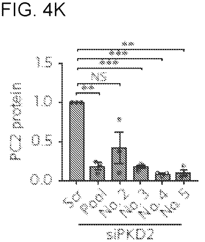Patent US12320800 Figure 14 – High-throughput automation of organoids for identifying therapeutic strategies
