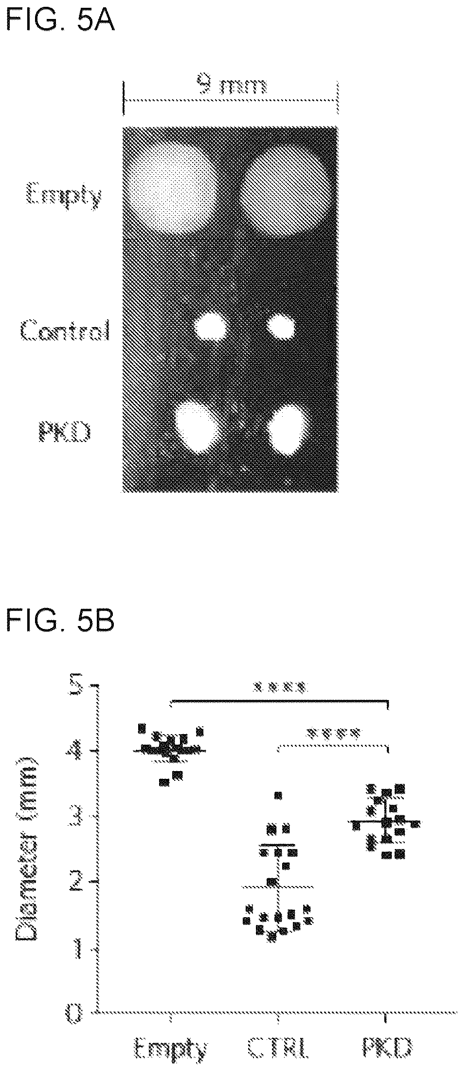 Patent US12320800 Figure 15 – High-throughput automation of organoids for identifying therapeutic strategies