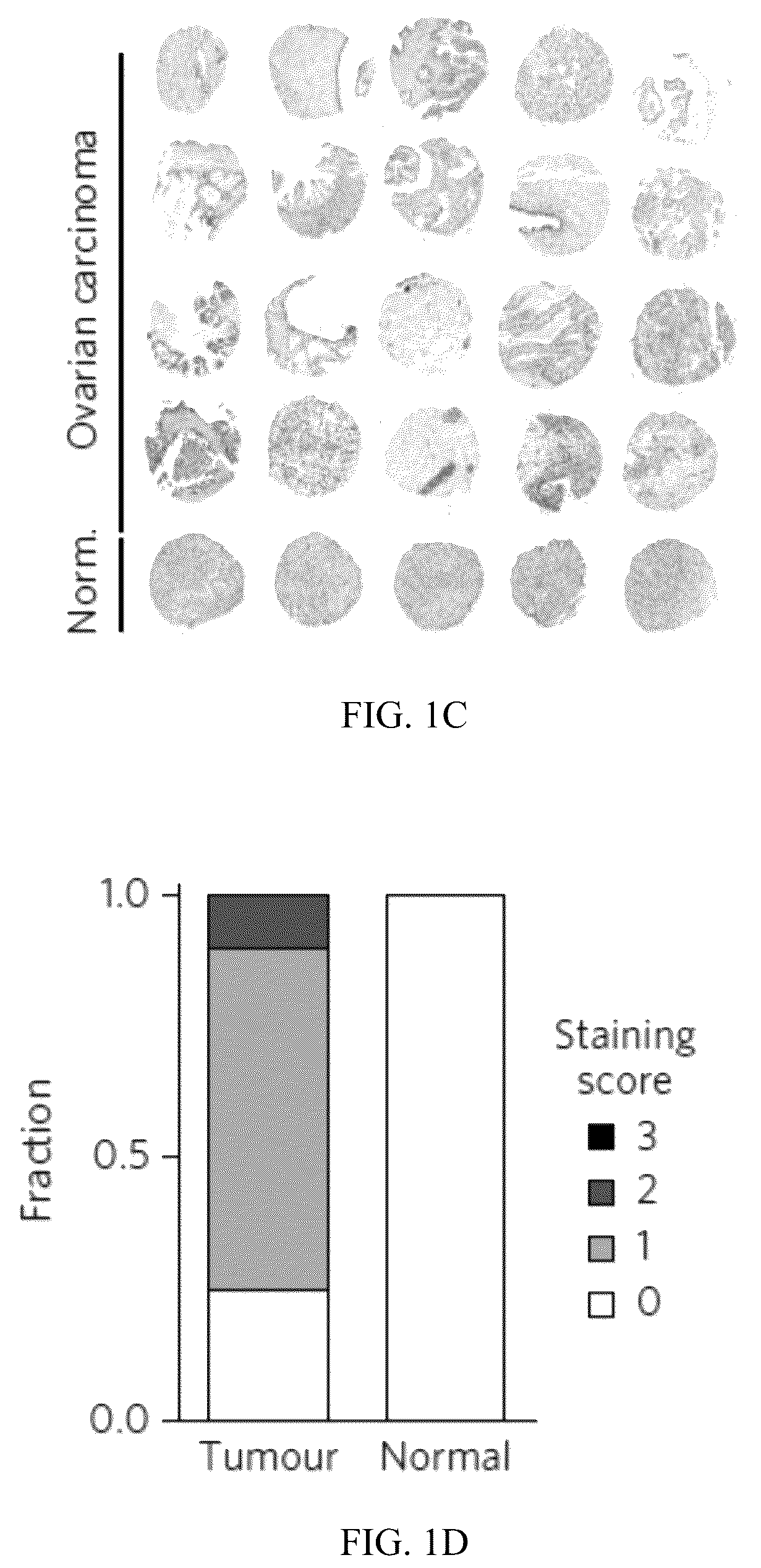 Patent US12320801 Figure 2 – Methods to spatially profile protease activity in tissue and sections