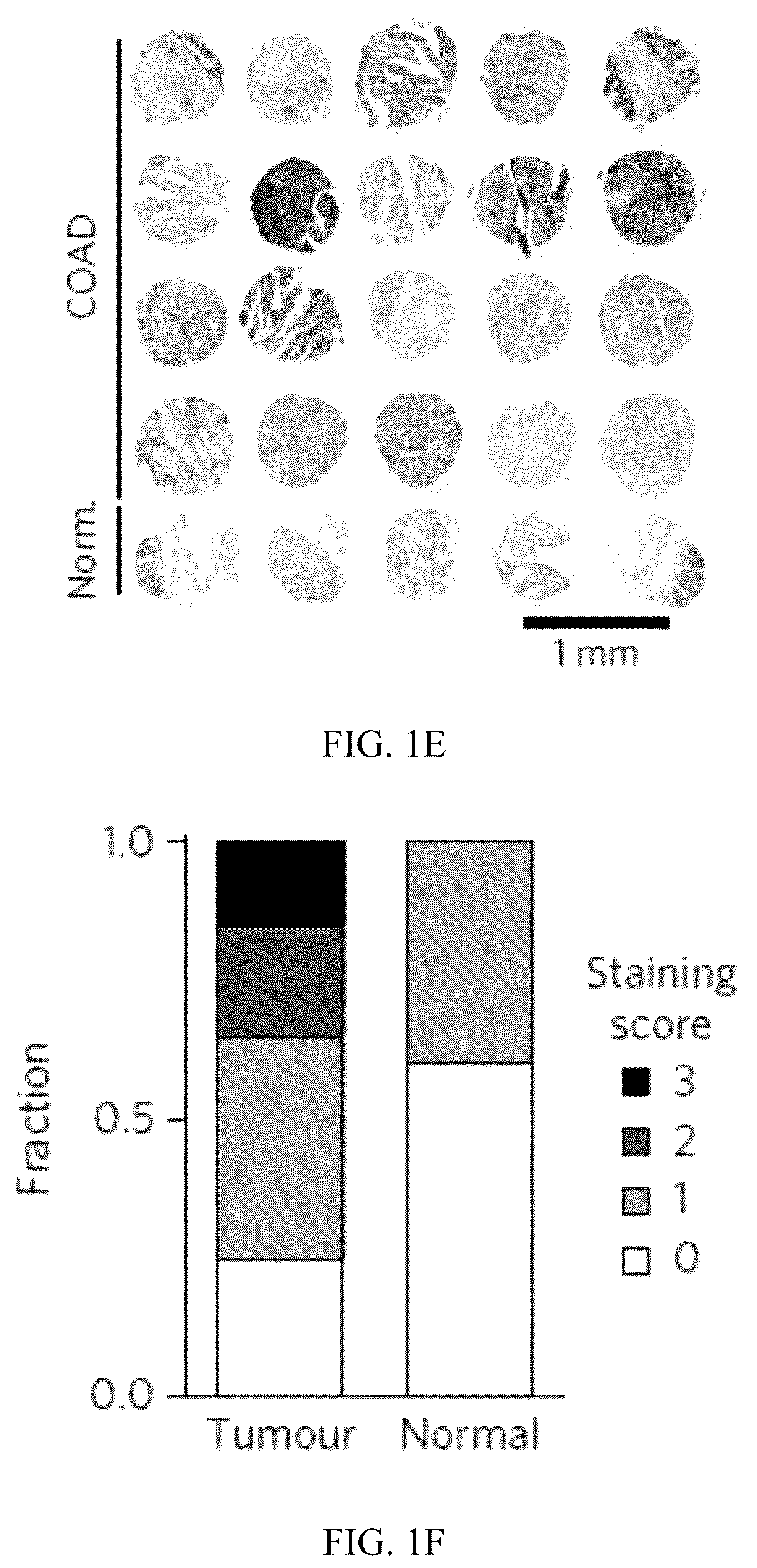 Patent US12320801 Figure 3 – Methods to spatially profile protease activity in tissue and sections