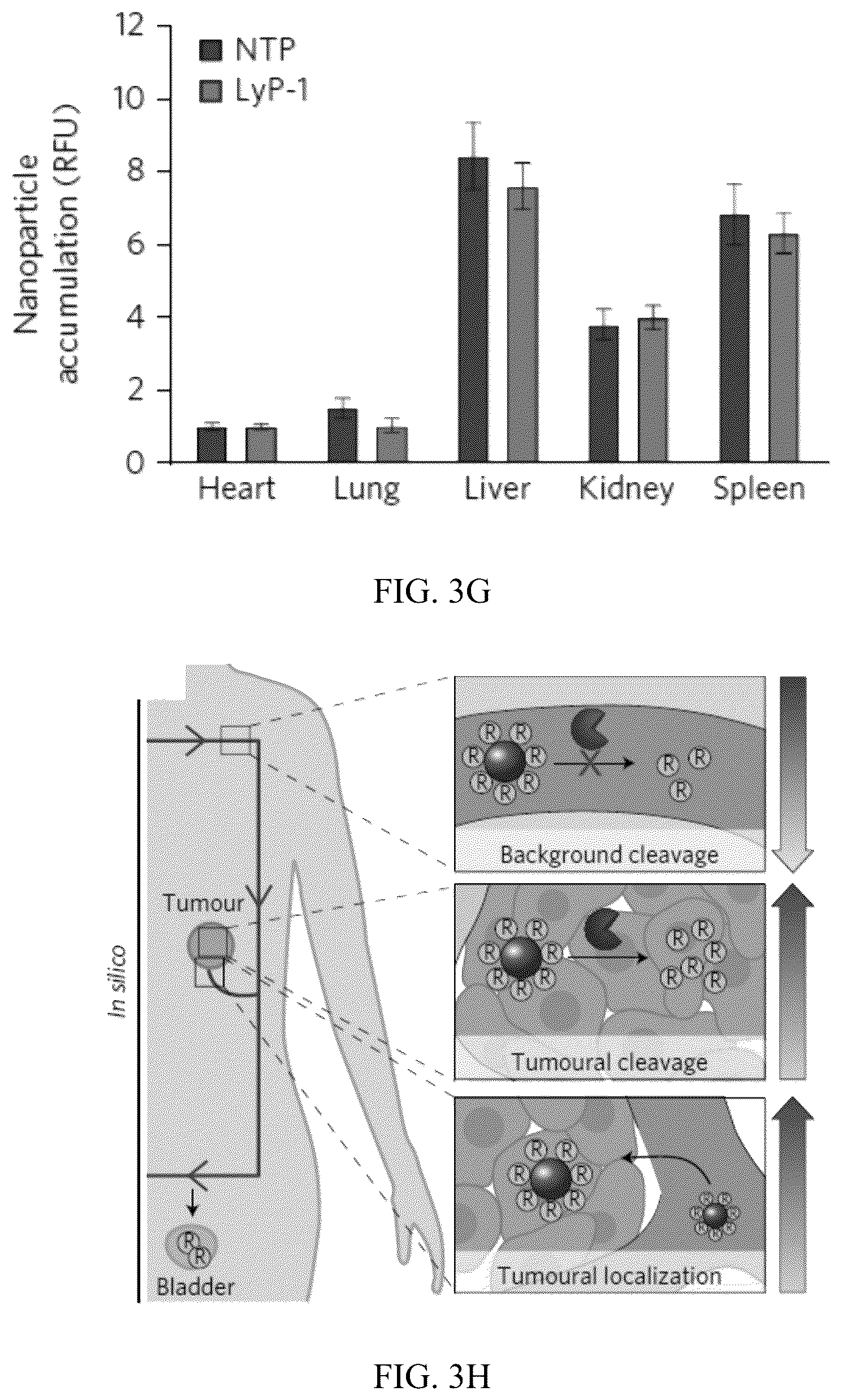 Patent US12320801 Figure 10 – Methods to spatially profile protease activity in tissue and sections