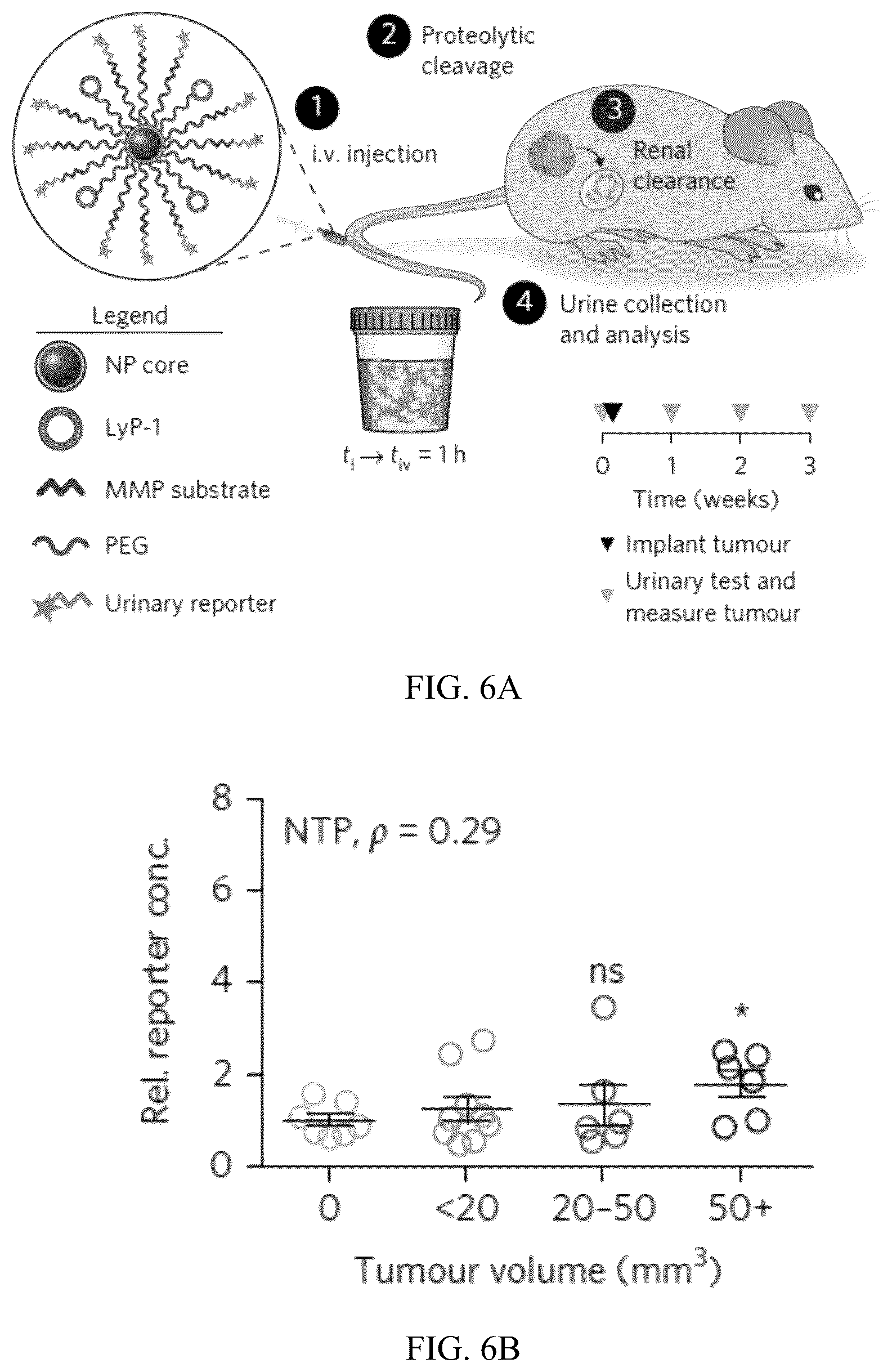 Patent US12320801 Figure 14 – Methods to spatially profile protease activity in tissue and sections
