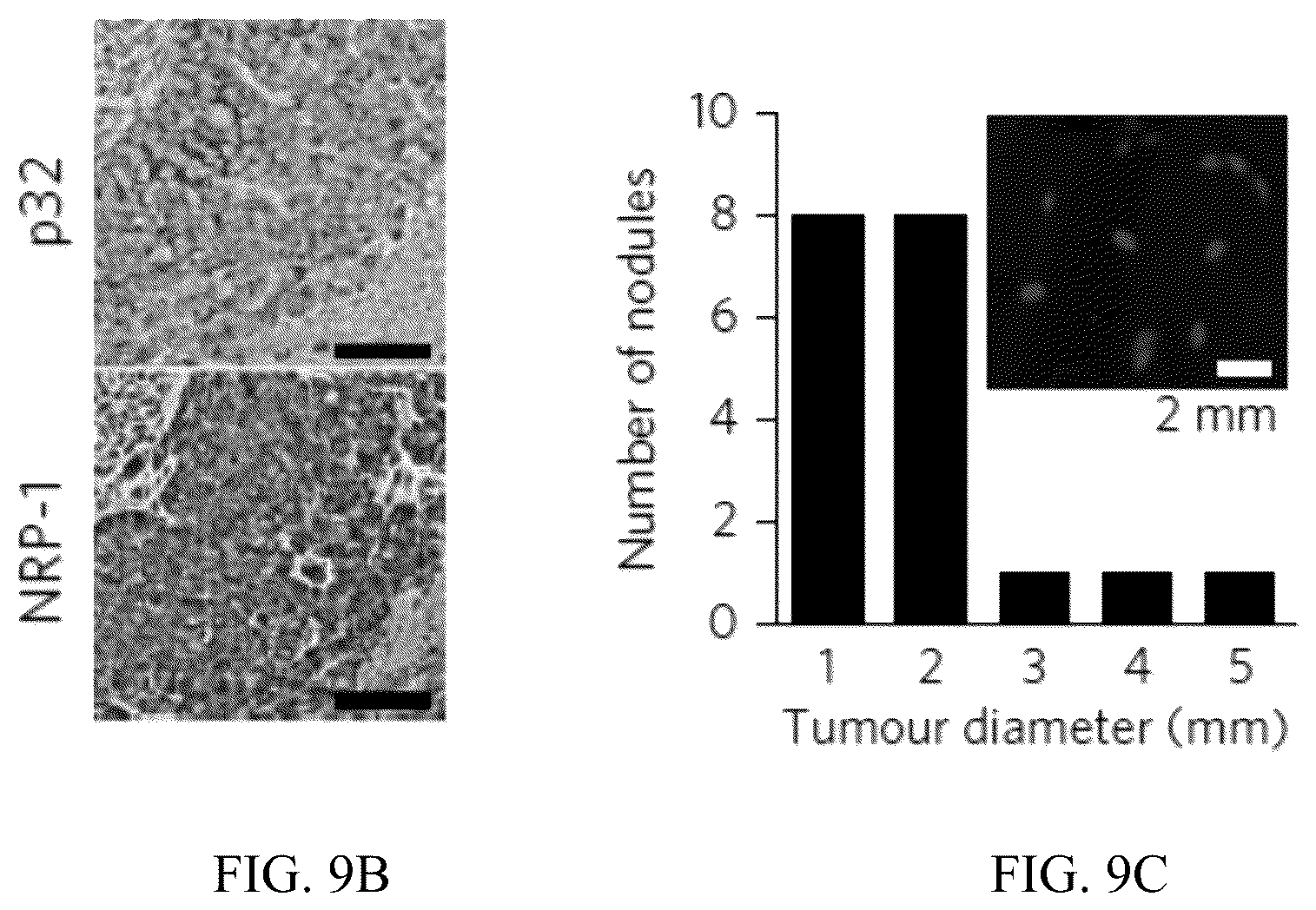 Patent US12320801 Figure 20 – Methods to spatially profile protease activity in tissue and sections
