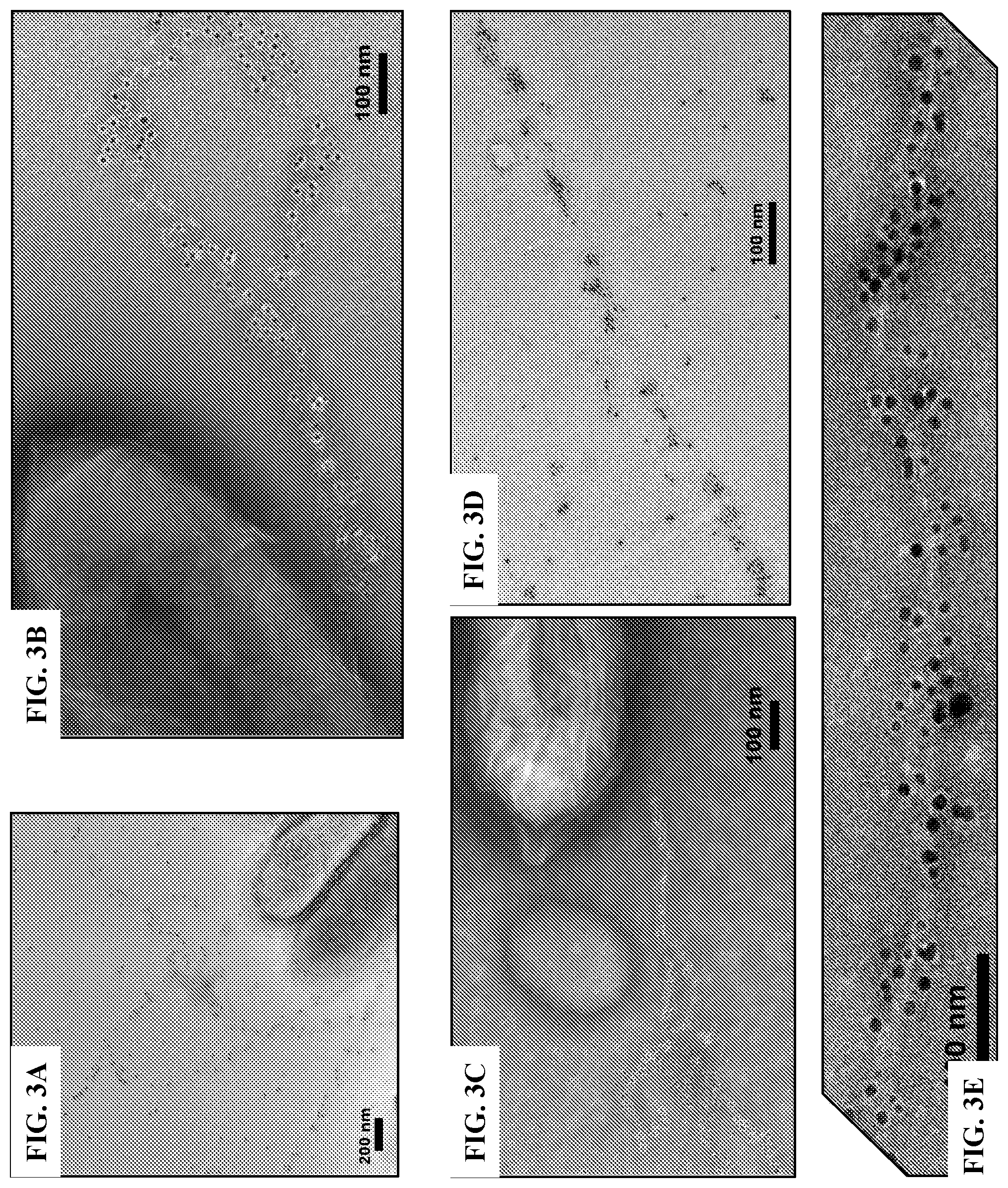Patent US12320802 Figure 3 – Microbial nanowires modified to contain peptides and methods of making