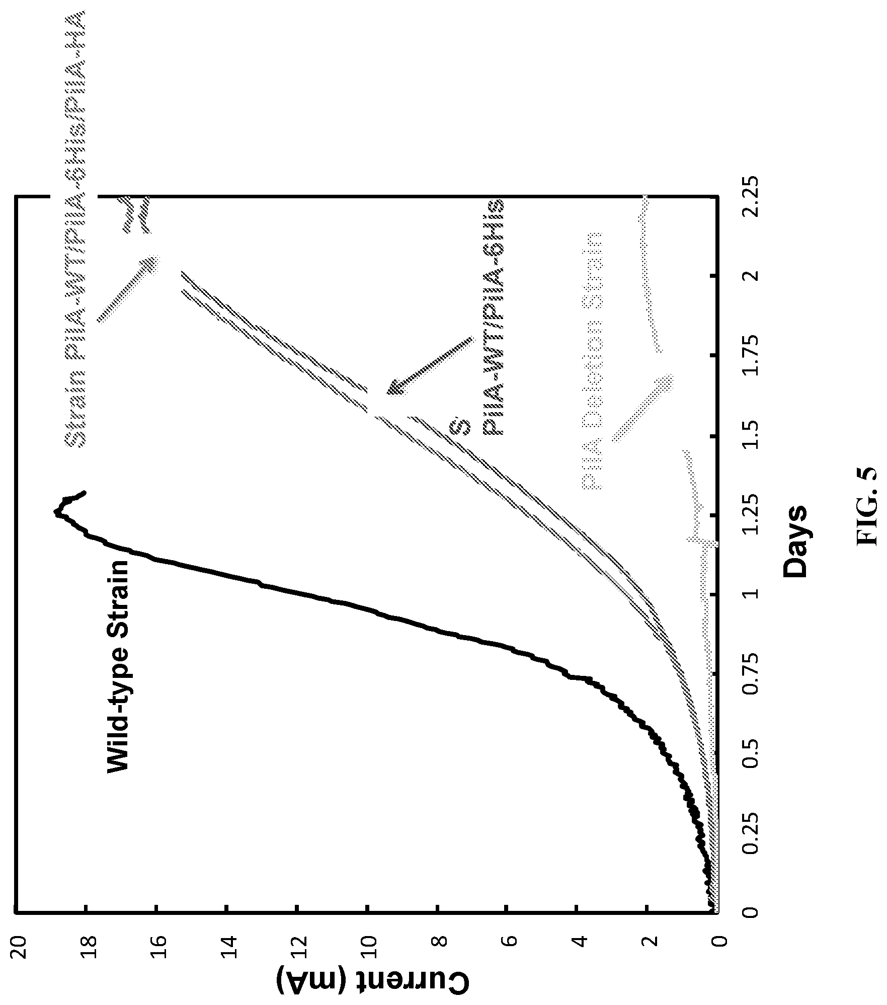 Patent US12320802 Figure 5 – Microbial nanowires modified to contain peptides and methods of making