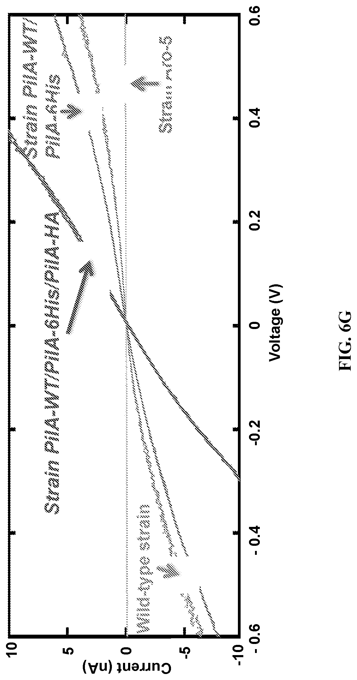 Patent US12320802 Figure 7 – Microbial nanowires modified to contain peptides and methods of making