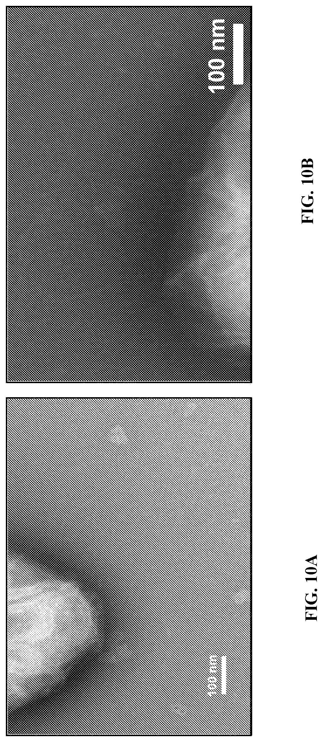 Patent US12320802 Figure 11 – Microbial nanowires modified to contain peptides and methods of making