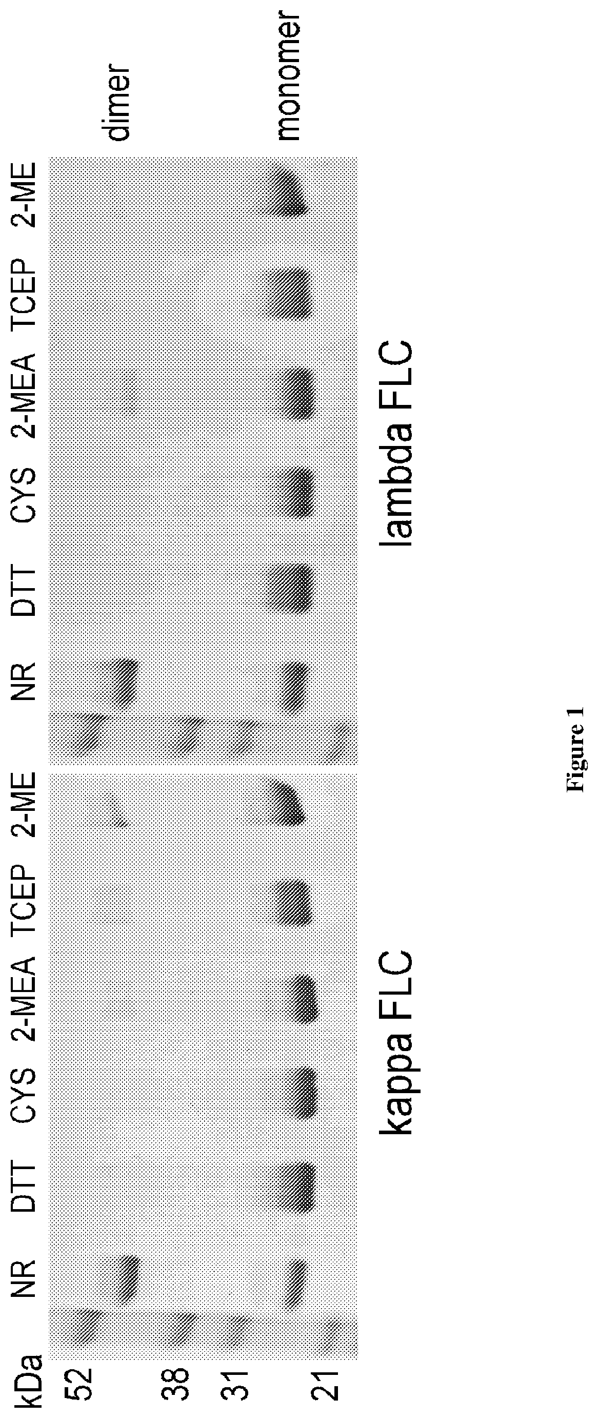 Patent US12320806 Figure 1 – Assay for free light chains