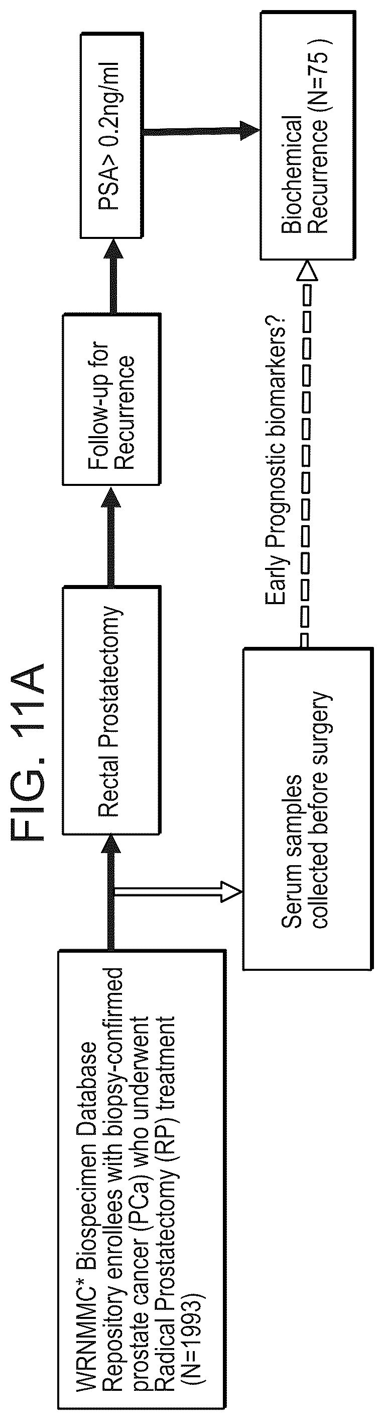 Patent US12320812 Figure 12 – Markers for the diagnosis of biochemical recurrence in prostate cancer
