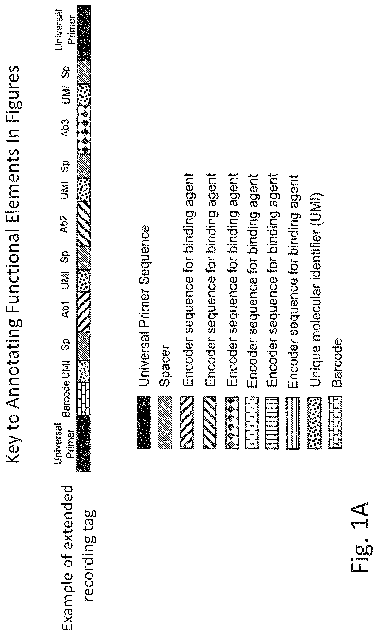 Patent US12320813 — Macromolecule analysis employing nucleic acid encoding — Figure 1