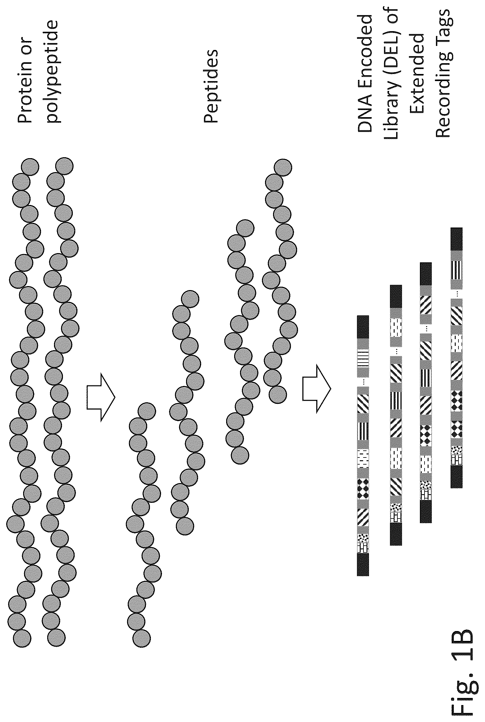 Patent US12320813 Figure 2 – Macromolecule analysis employing nucleic acid encoding