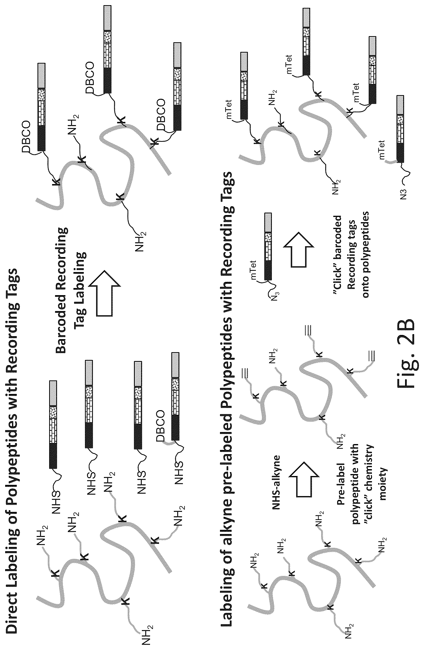 Patent US12320813 Figure 4 – Macromolecule analysis employing nucleic acid encoding
