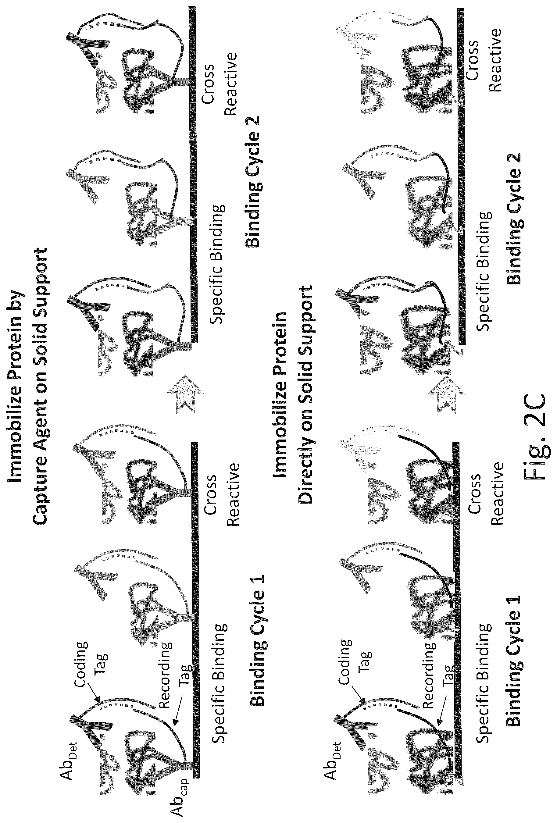 Patent US12320813 Figure 5 – Macromolecule analysis employing nucleic acid encoding