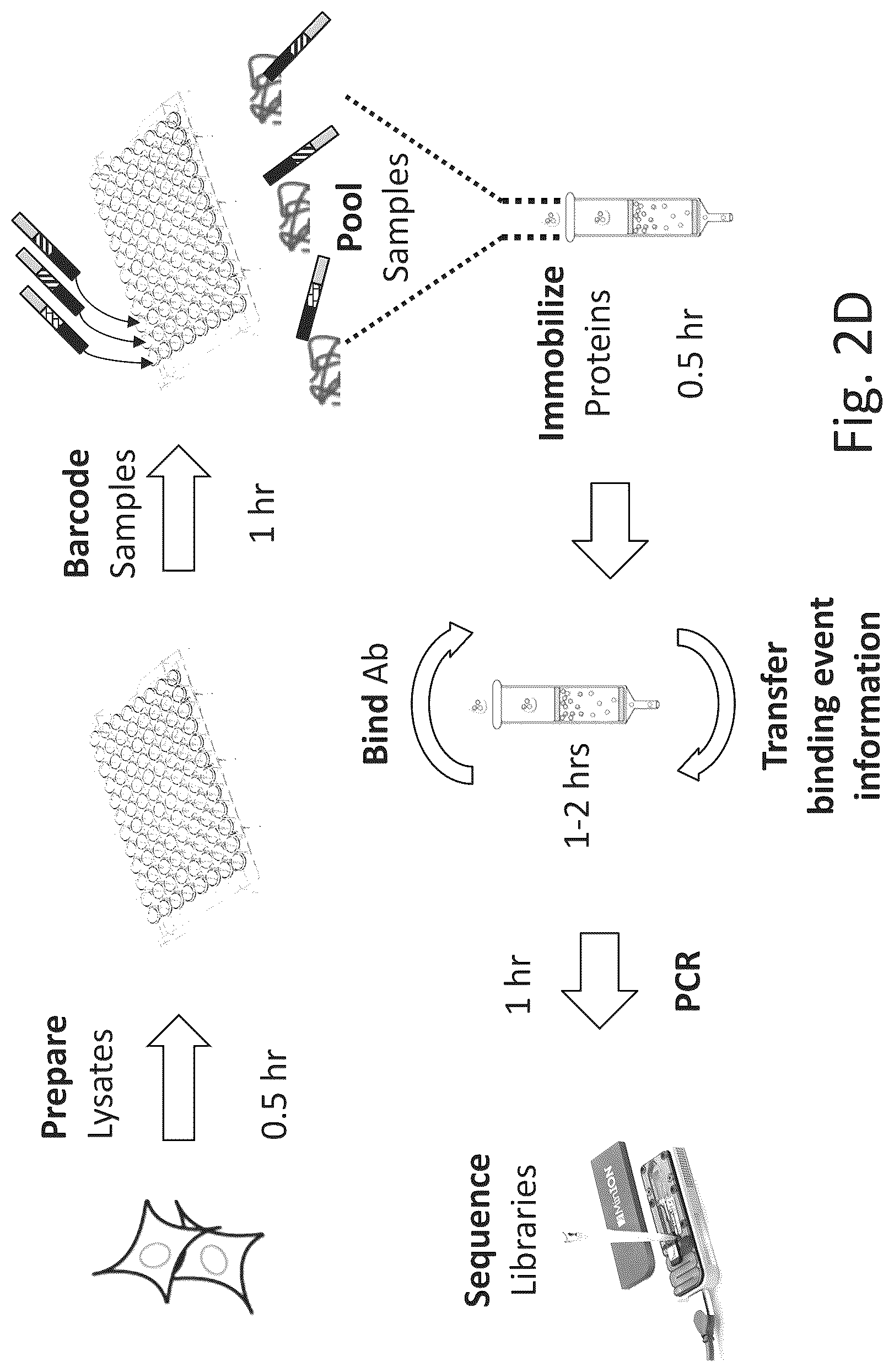 Patent US12320813 Figure 6 – Macromolecule analysis employing nucleic acid encoding