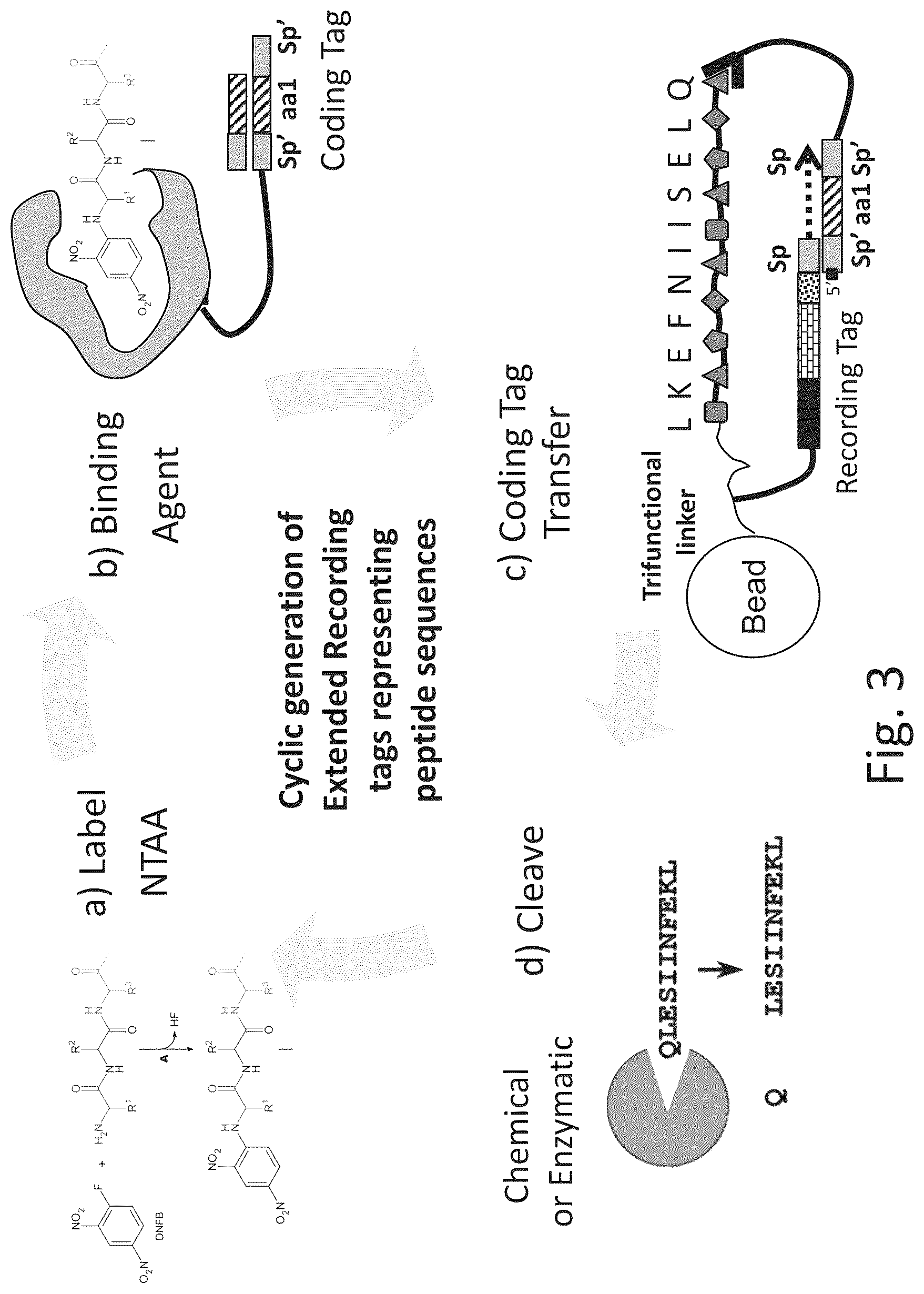 Patent US12320813 Figure 7 – Macromolecule analysis employing nucleic acid encoding