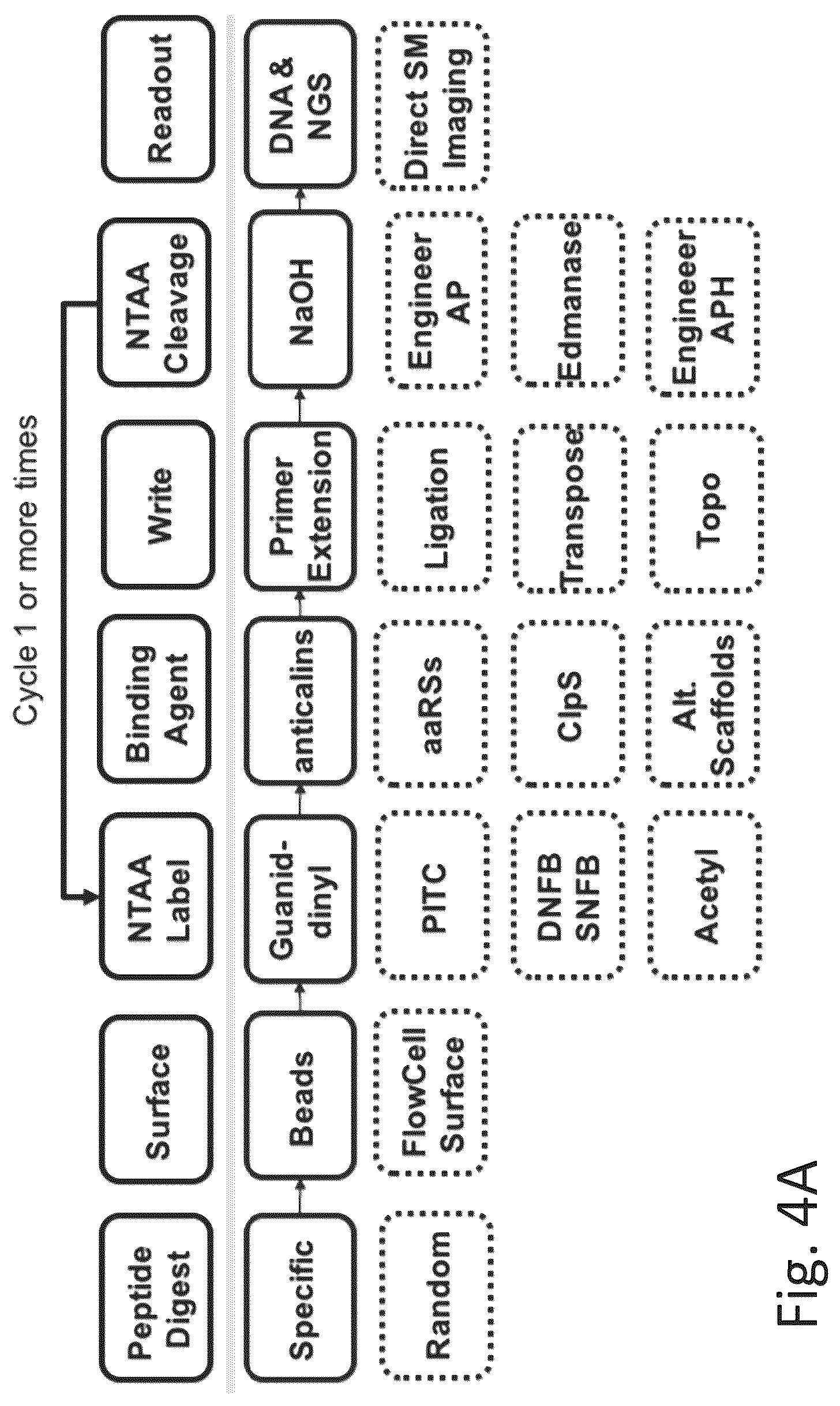 Patent US12320813 Figure 8 – Macromolecule analysis employing nucleic acid encoding