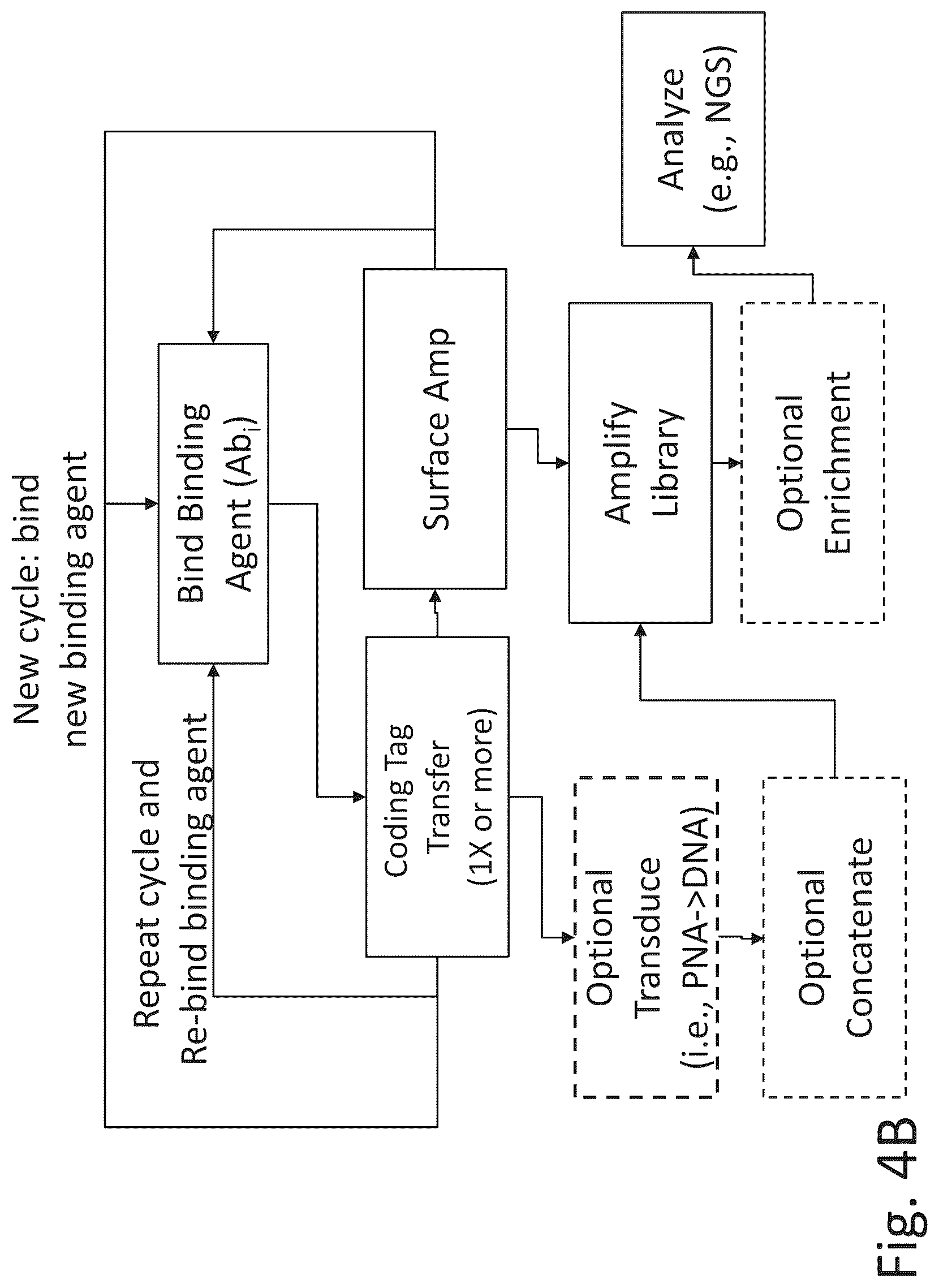 Patent US12320813 Figure 9 – Macromolecule analysis employing nucleic acid encoding