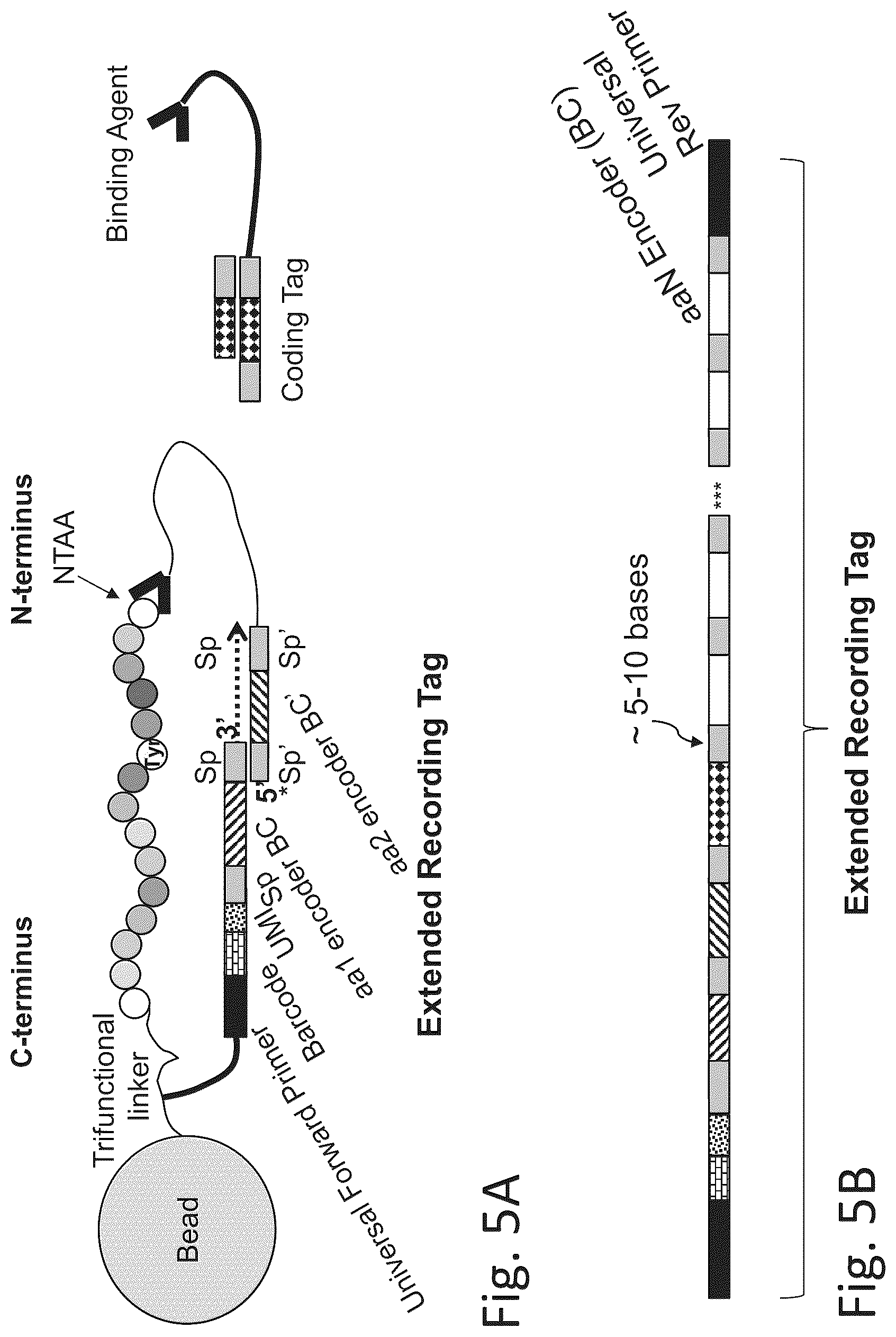 Patent US12320813 Figure 10 – Macromolecule analysis employing nucleic acid encoding
