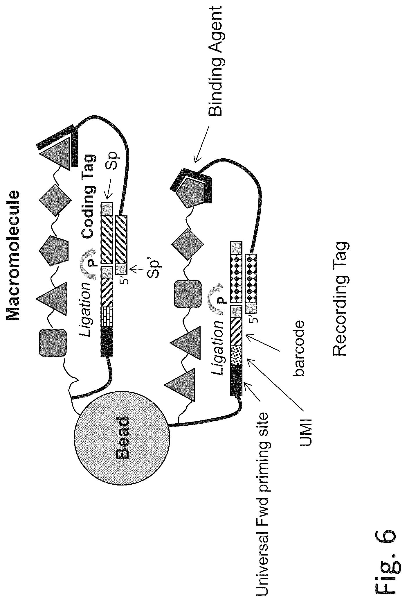 Patent US12320813 Figure 11 – Macromolecule analysis employing nucleic acid encoding