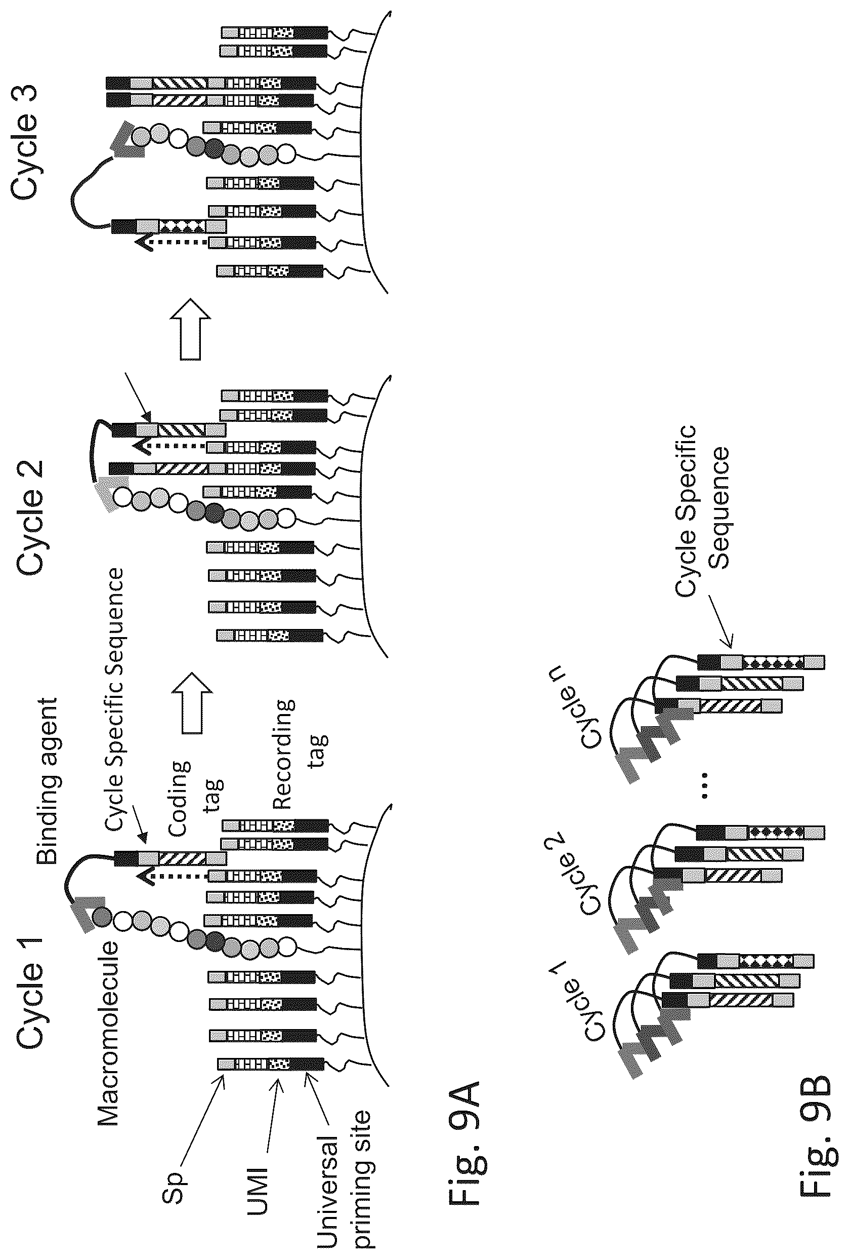 Patent US12320813 Figure 14 – Macromolecule analysis employing nucleic acid encoding