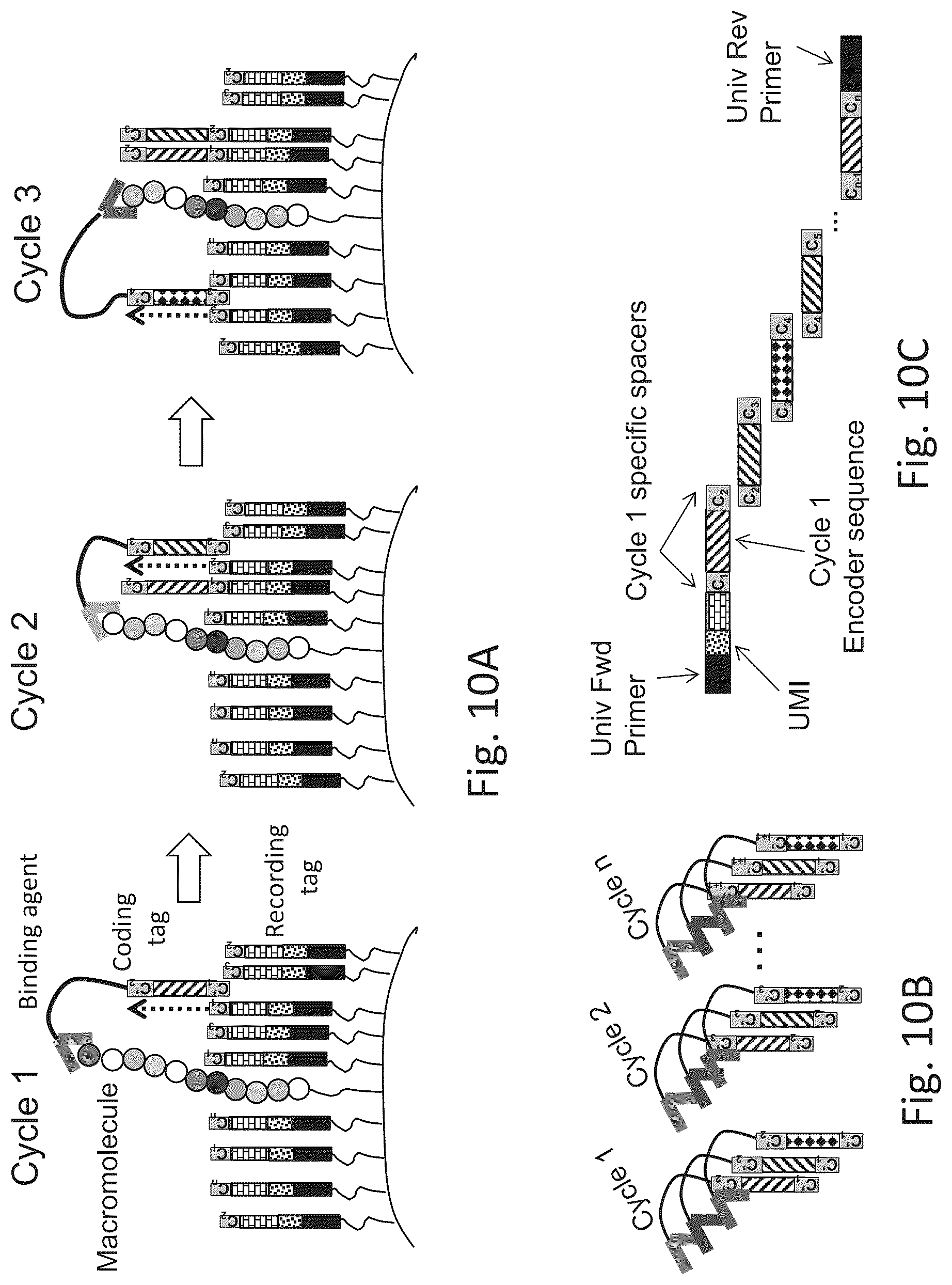 Patent US12320813 Figure 15 – Macromolecule analysis employing nucleic acid encoding