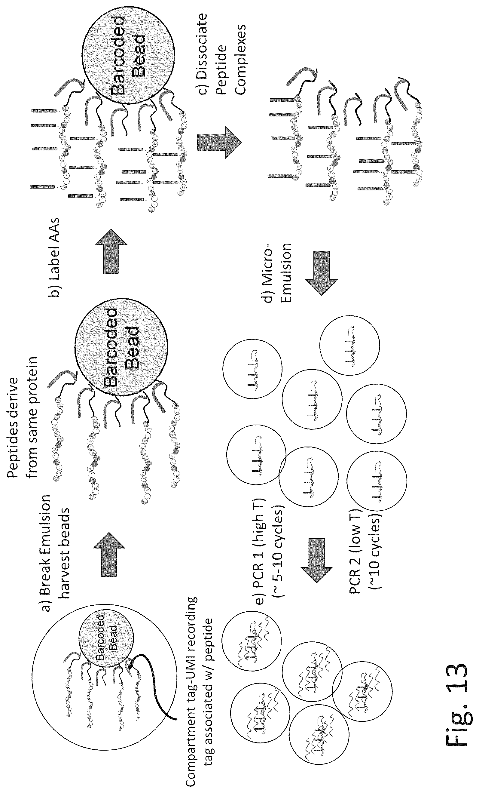 Patent US12320813 Figure 18 – Macromolecule analysis employing nucleic acid encoding