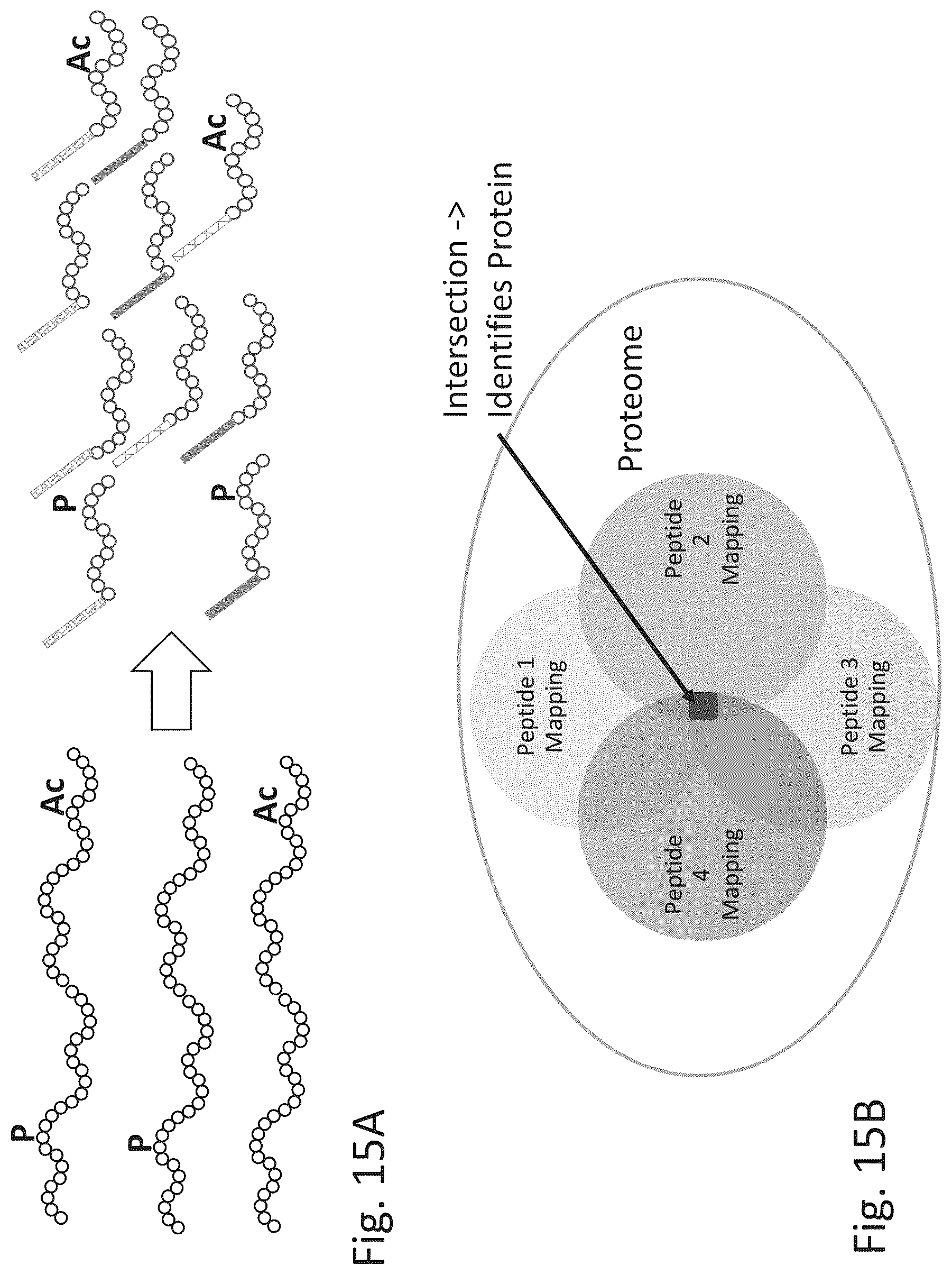 Patent US12320813 Figure 20 – Macromolecule analysis employing nucleic acid encoding