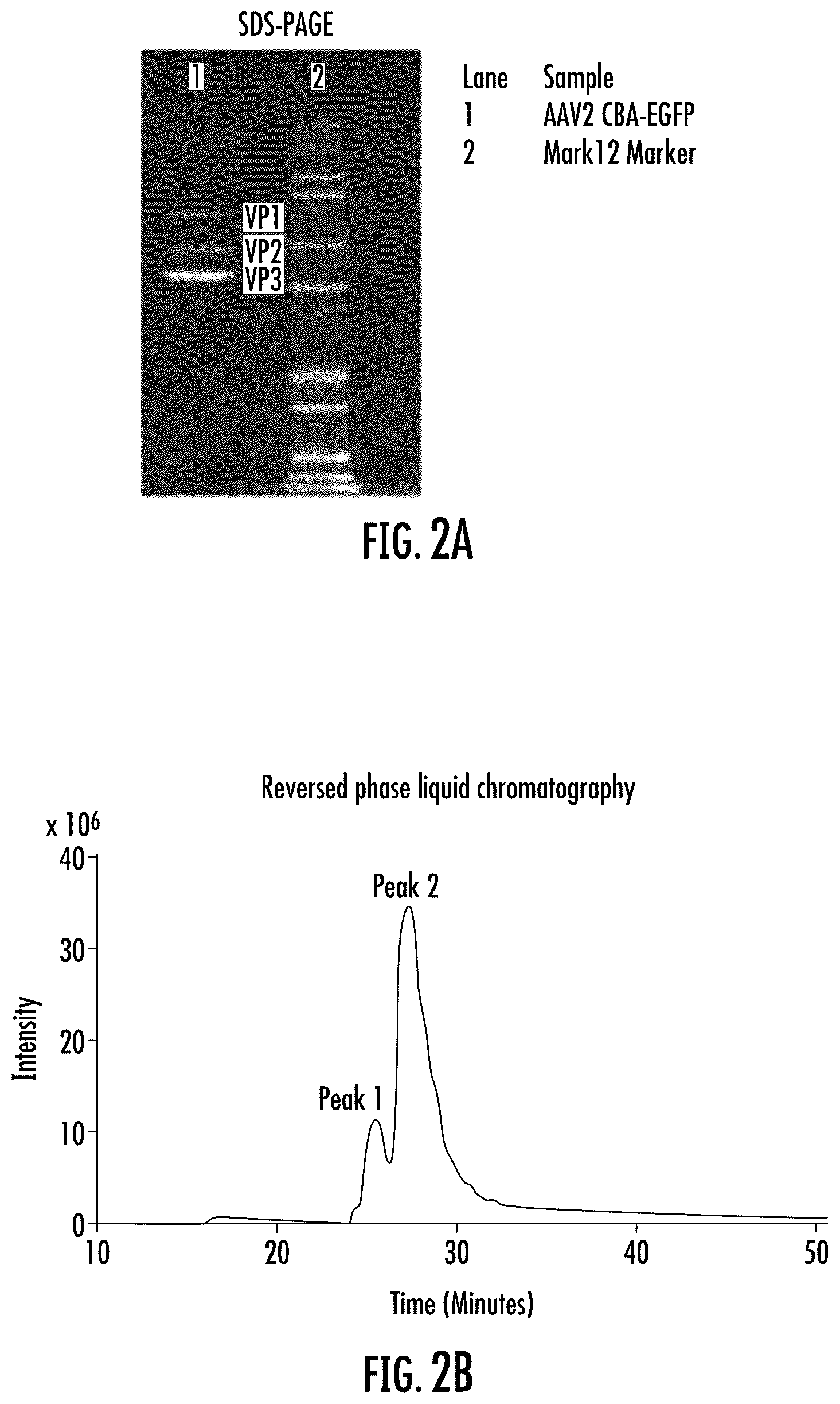 Patent US12320814 Figure 2 – Characterization of adeno-associated virus using microchip capillary electrophoresis