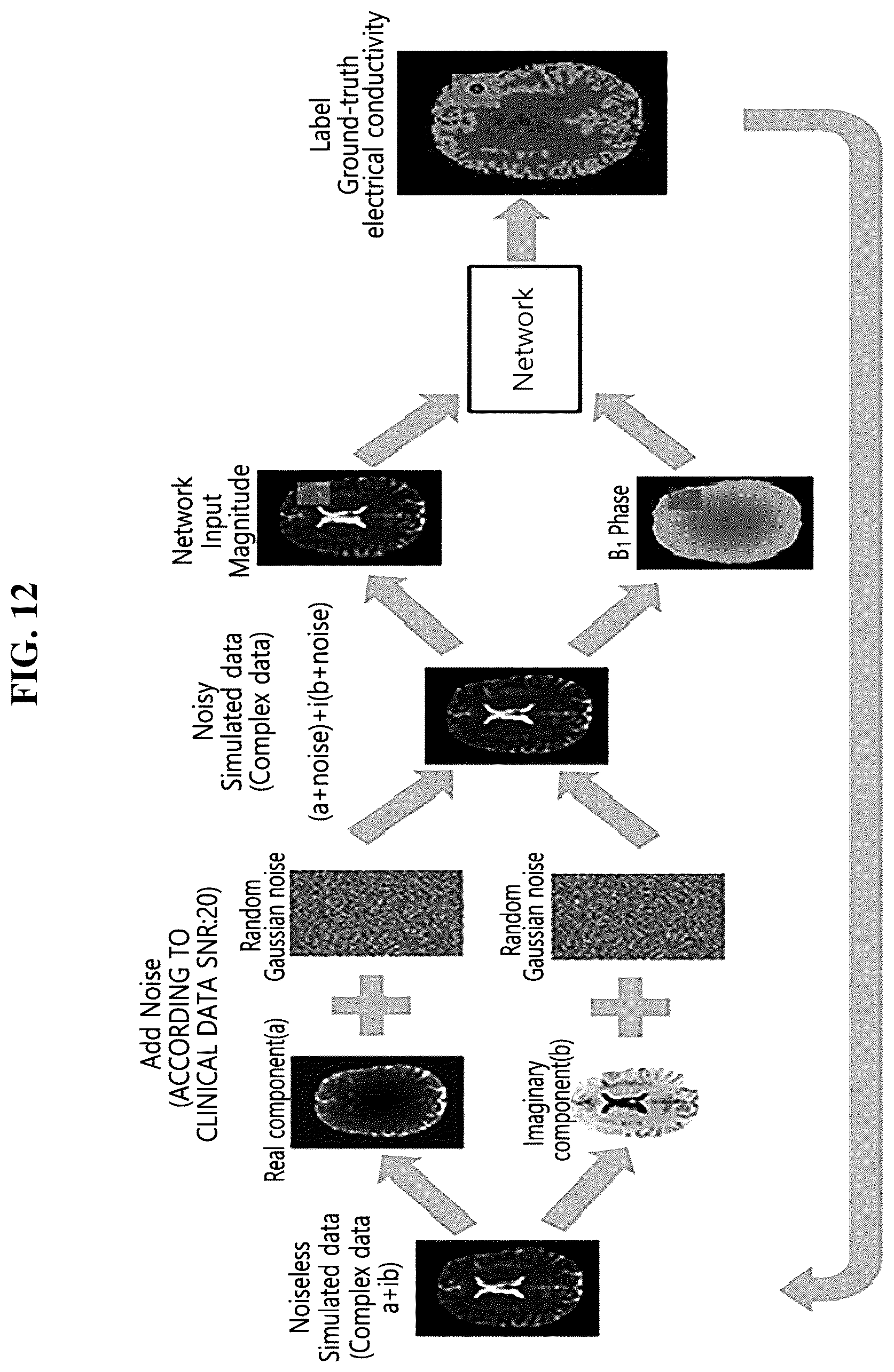 Patent US12320879 Figure 8 – Method and apparatus for reconstructing an electrical conductivity map from magnetic resonance imaging