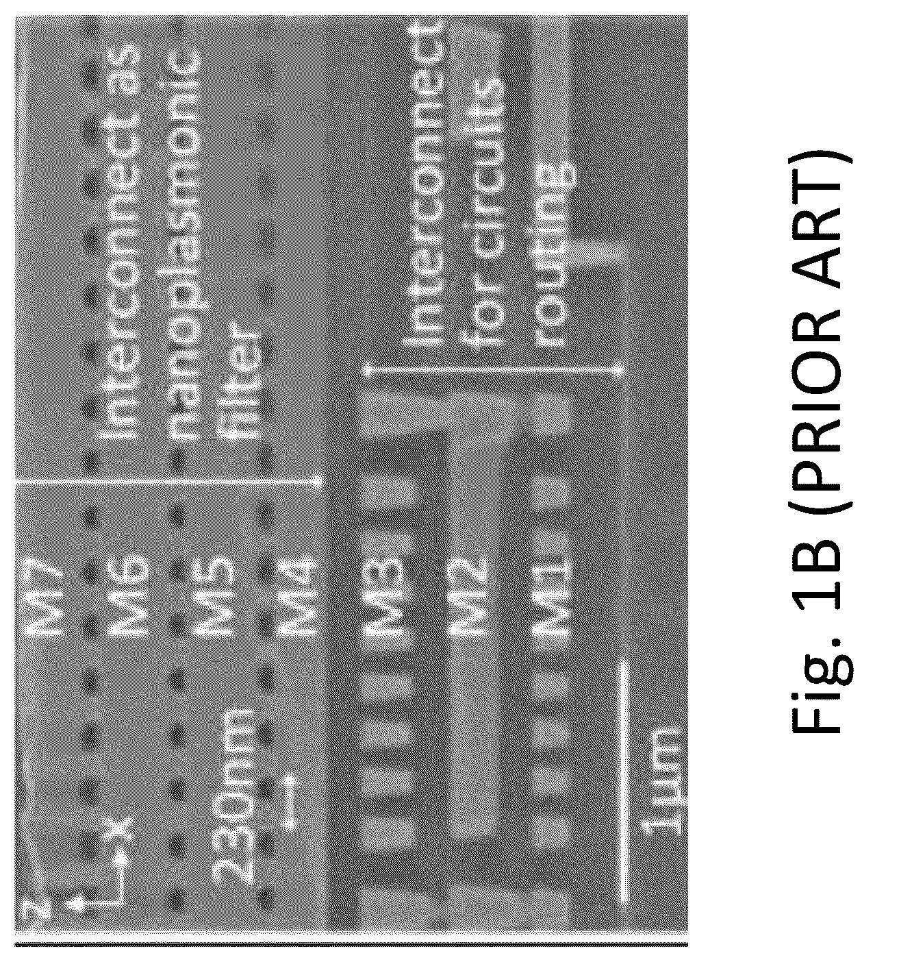 Patent US12320988 Figure 2 – Broadband polarization splitting based on volumetric meta-optics