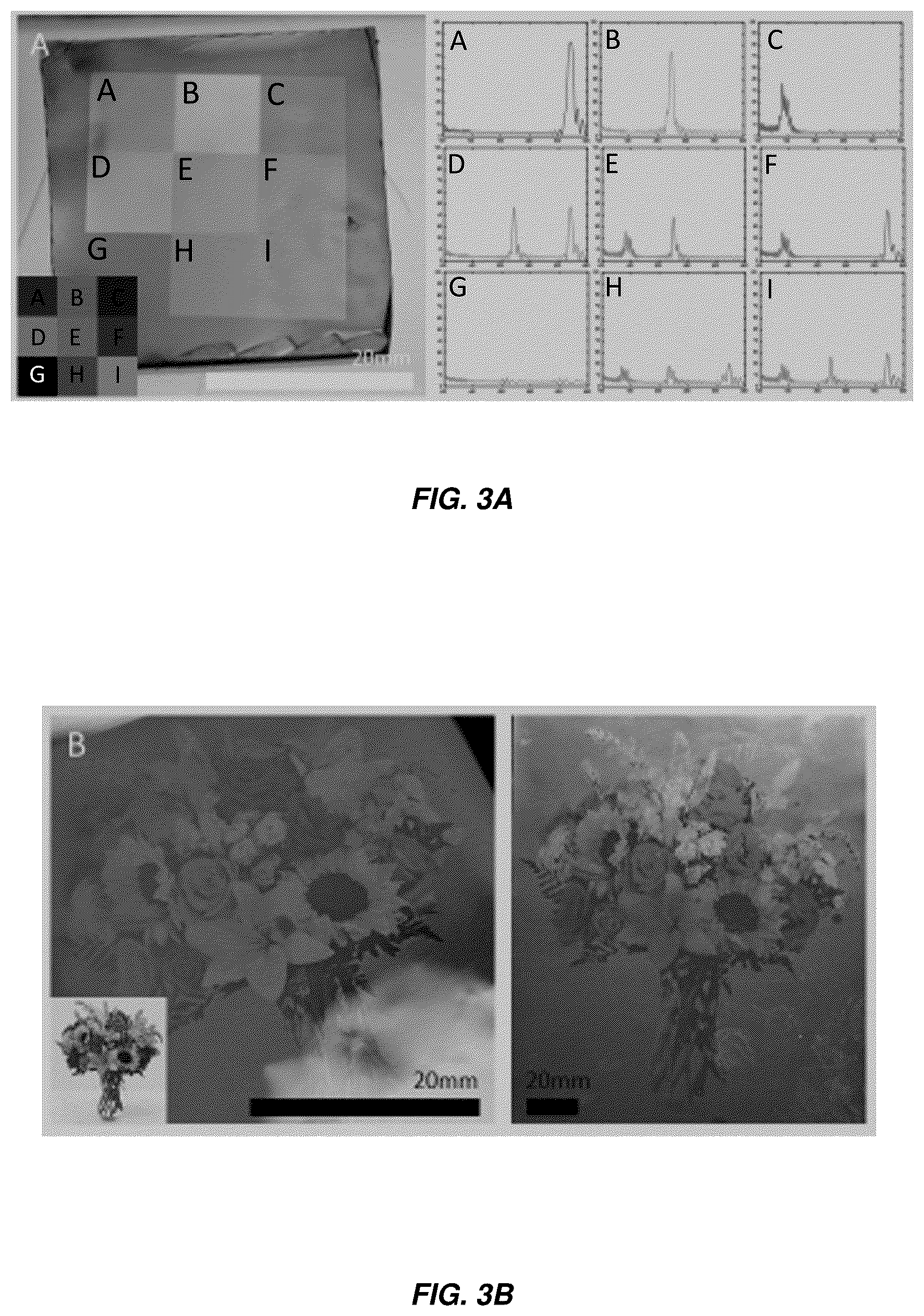 Patent US12320998 Figure 5 – Deformable photonic materials and related methods