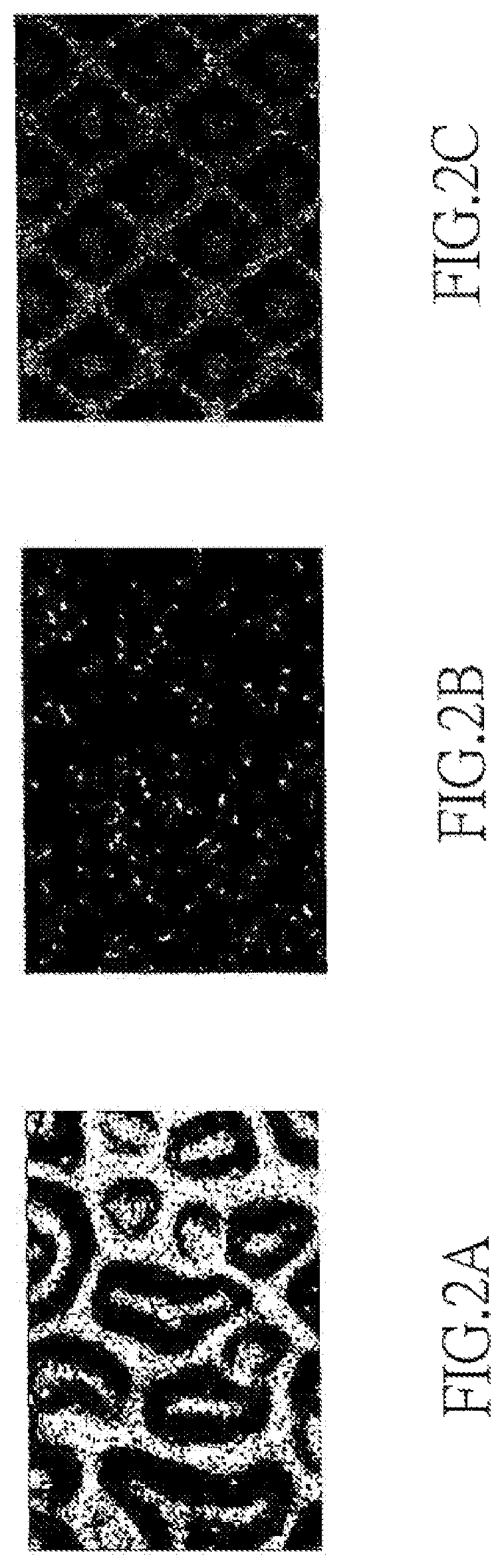 Patent US12321061 Figure 2 – Diffusion plate for use in backlight module with low optical path distance