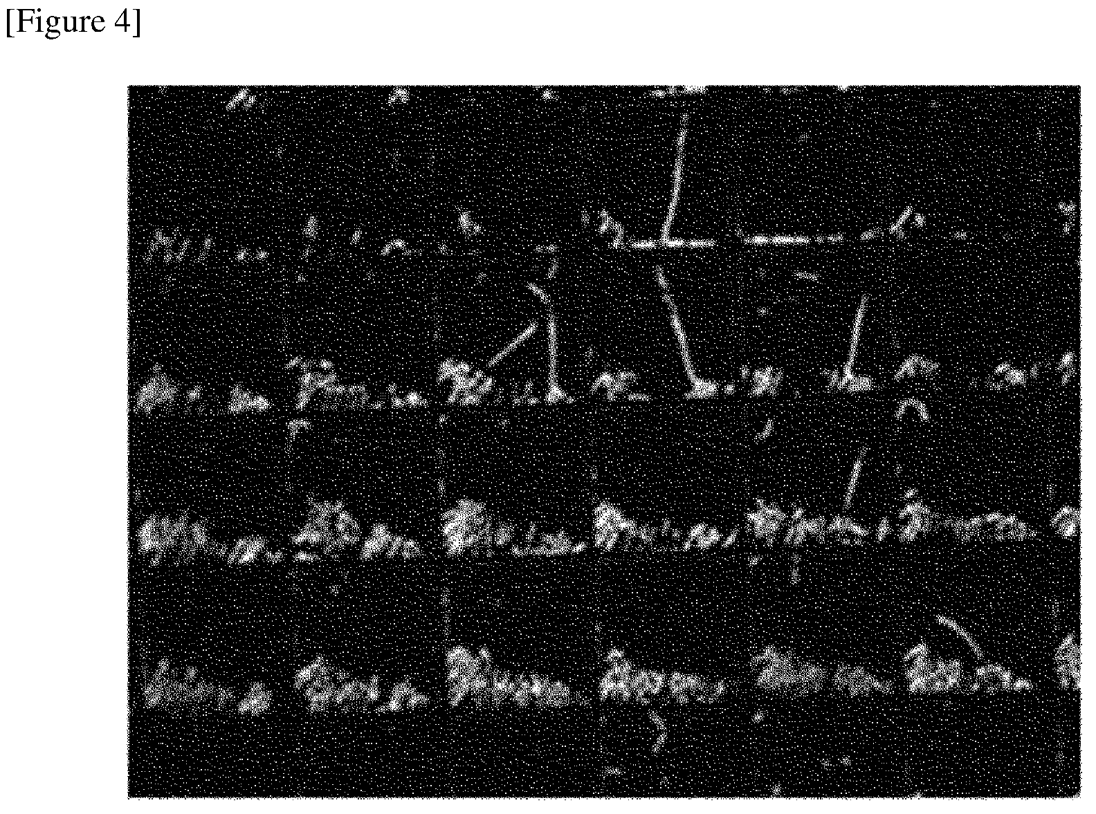 Patent US12321072 Figure 4 – Optical device