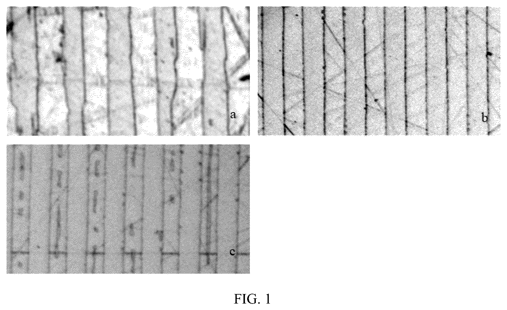 Patent US12321080 Figure 1 – Domain wall straightening method of periodically poled ferroelectric crystal