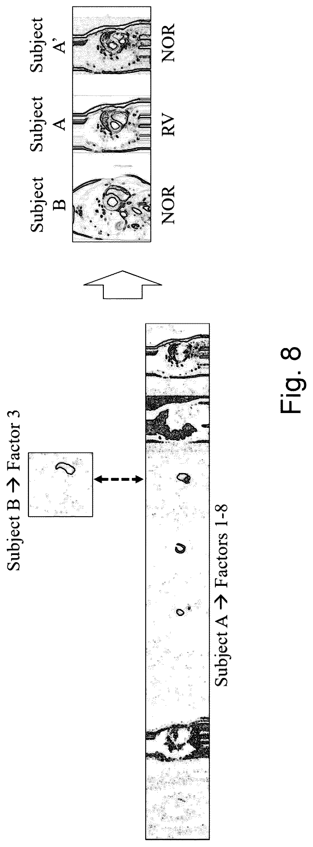 Patent US12321416 Figure 8 – Image data processing apparatus and method, a model training apparatus and a training method