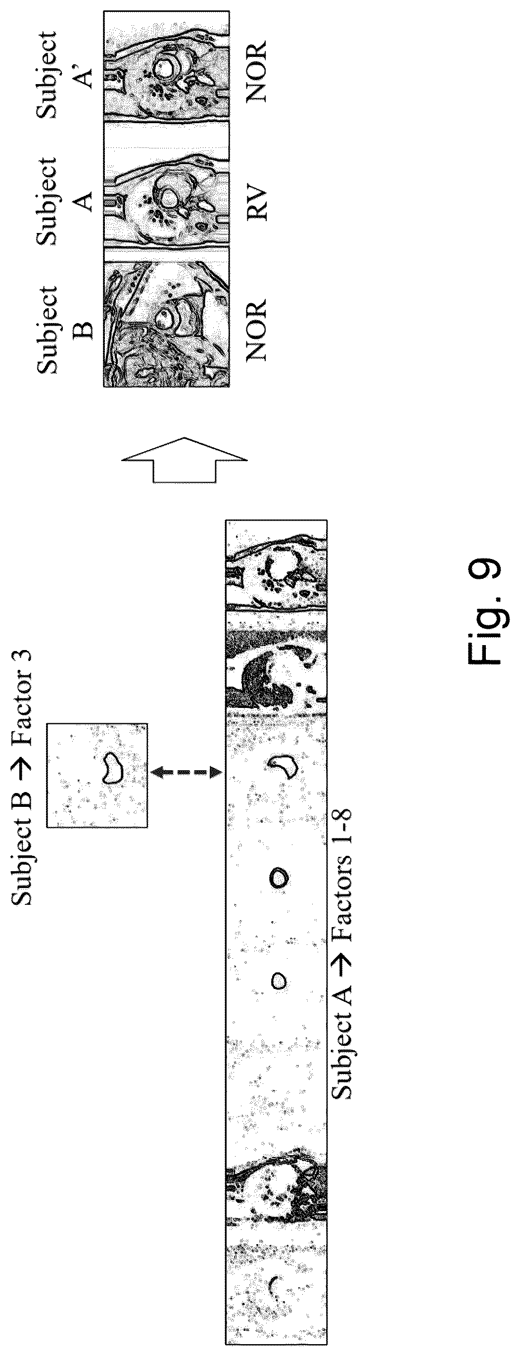 Patent US12321416 Figure 9 – Image data processing apparatus and method, a model training apparatus and a training method