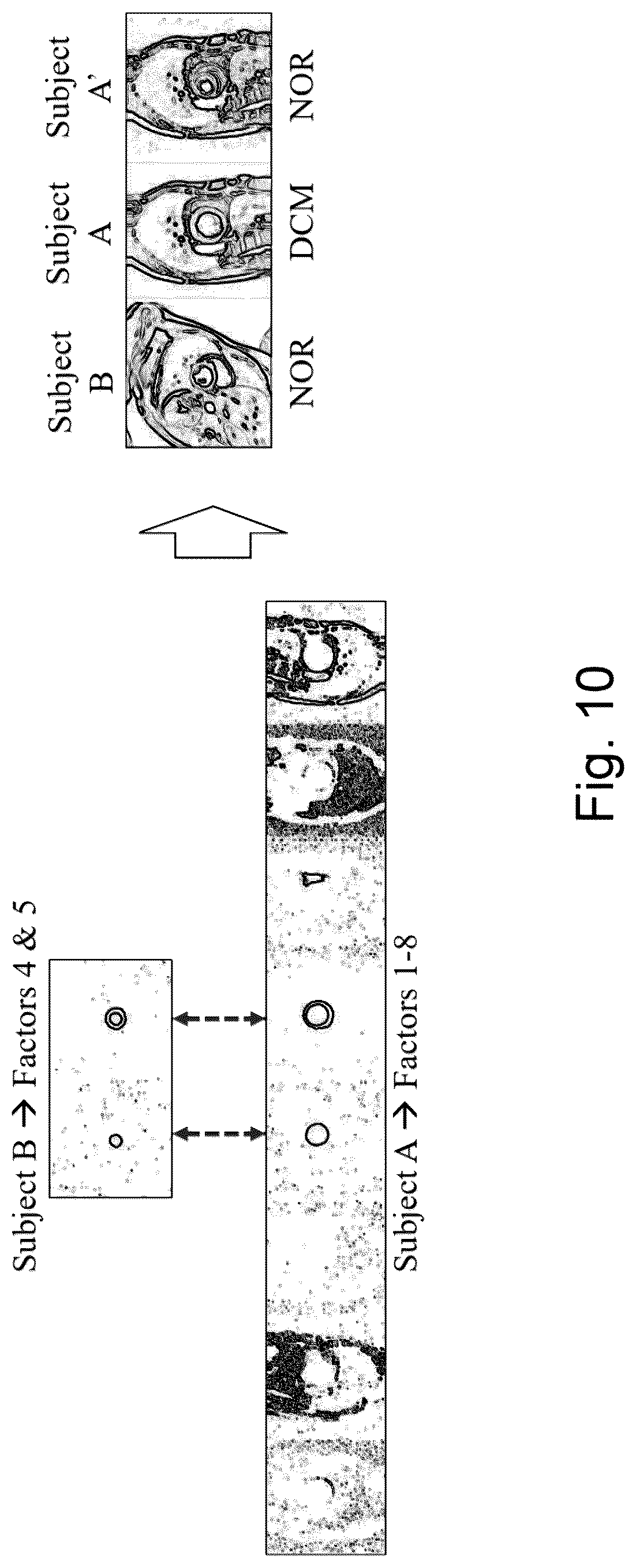 Patent US12321416 Figure 10 – Image data processing apparatus and method, a model training apparatus and a training method