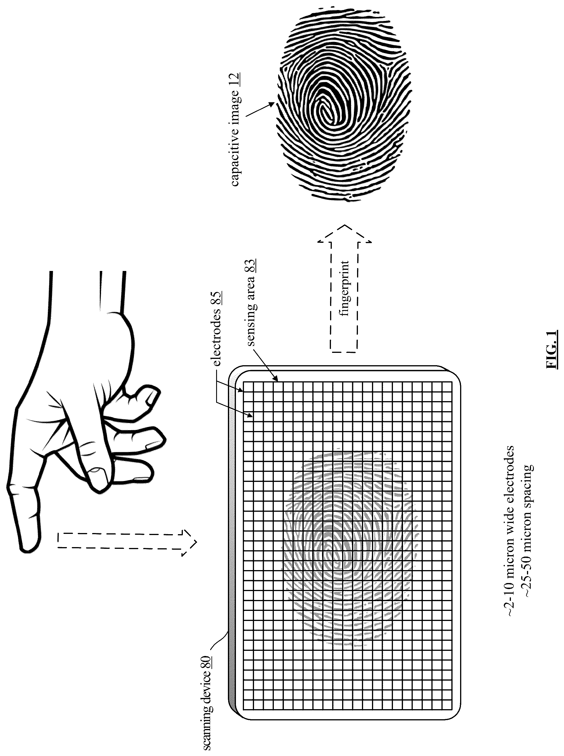 Patent US12321560 Figure 1 – Fingerprint imaging device incorporating electrodes and drive-sense circuitry