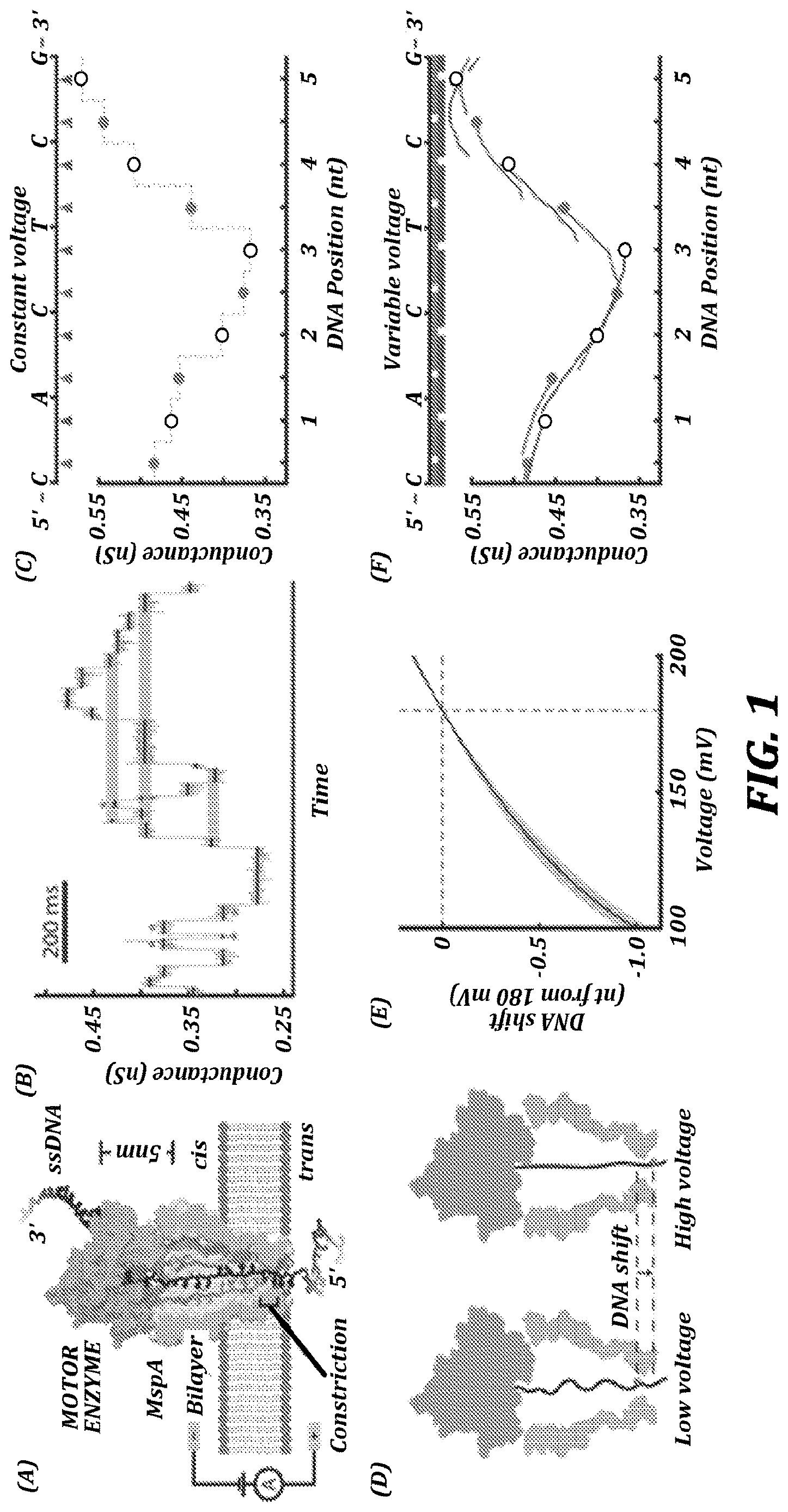 Patent US12321837 Figure 1 – Systems and methods for improved nanopore-based analysis of nucleic acids