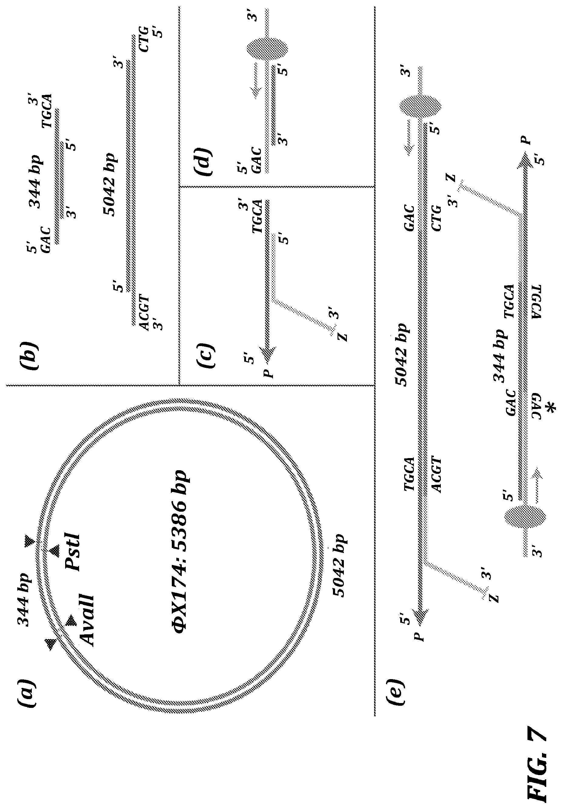Patent US12321837 Figure 10 – Systems and methods for improved nanopore-based analysis of nucleic acids