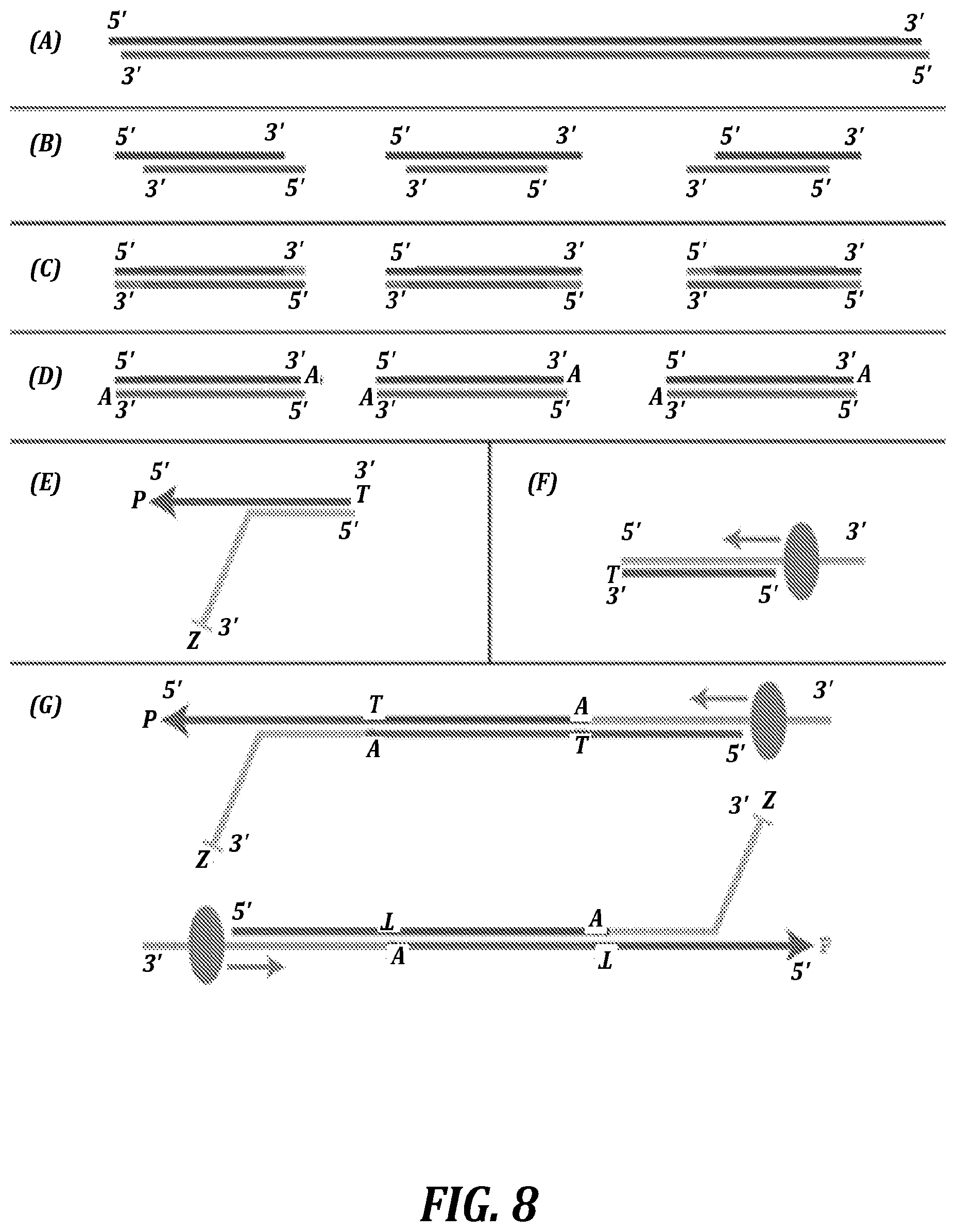 Patent US12321837 Figure 11 – Systems and methods for improved nanopore-based analysis of nucleic acids
