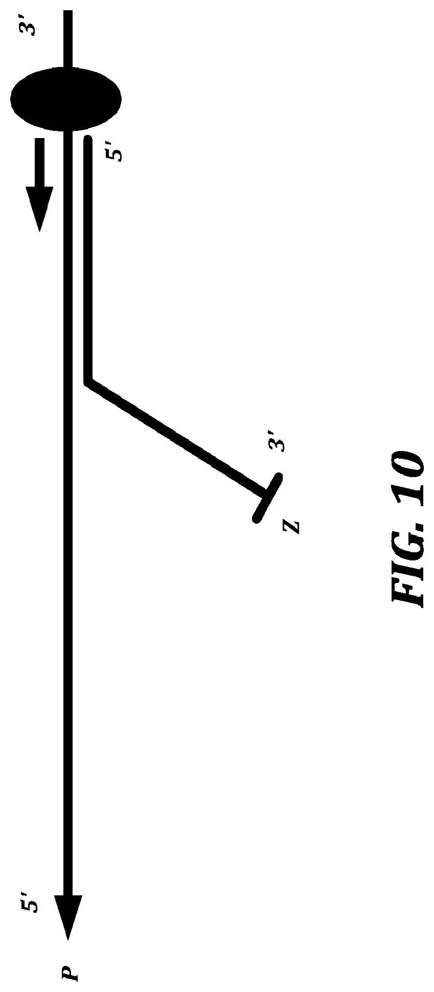 Patent US12321837 Figure 13 – Systems and methods for improved nanopore-based analysis of nucleic acids