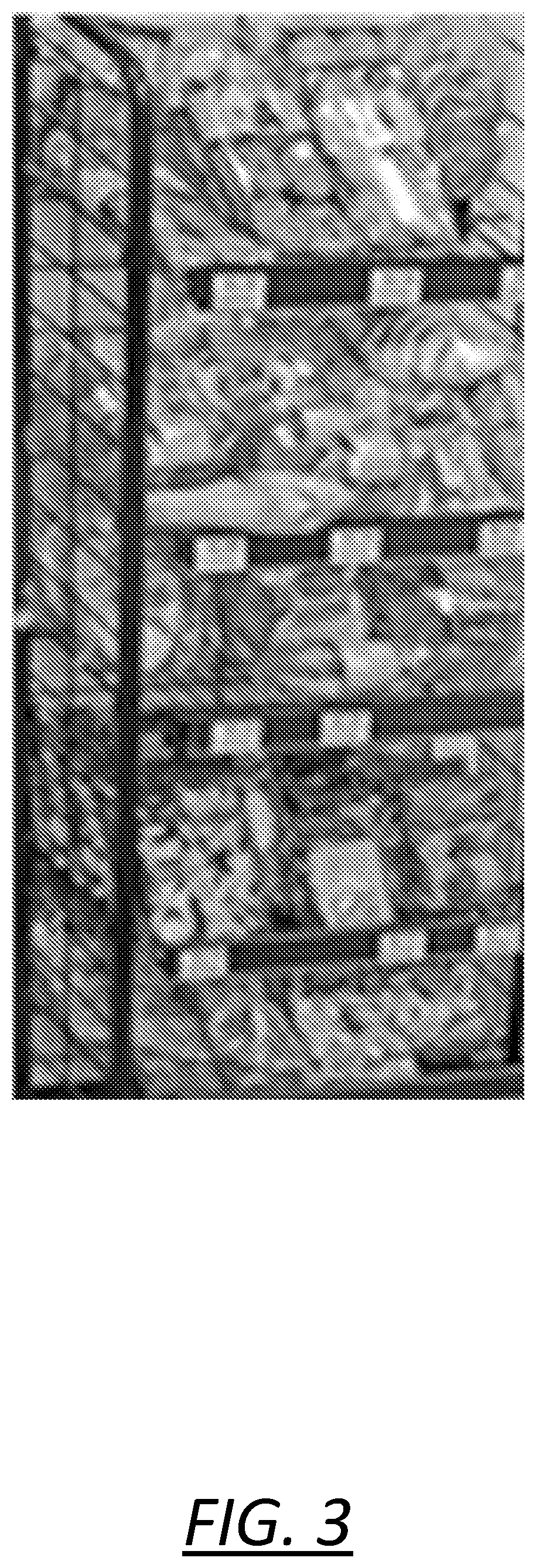 Patent US12322012 Figure 3 – System and method for scene rectification via homography estimation