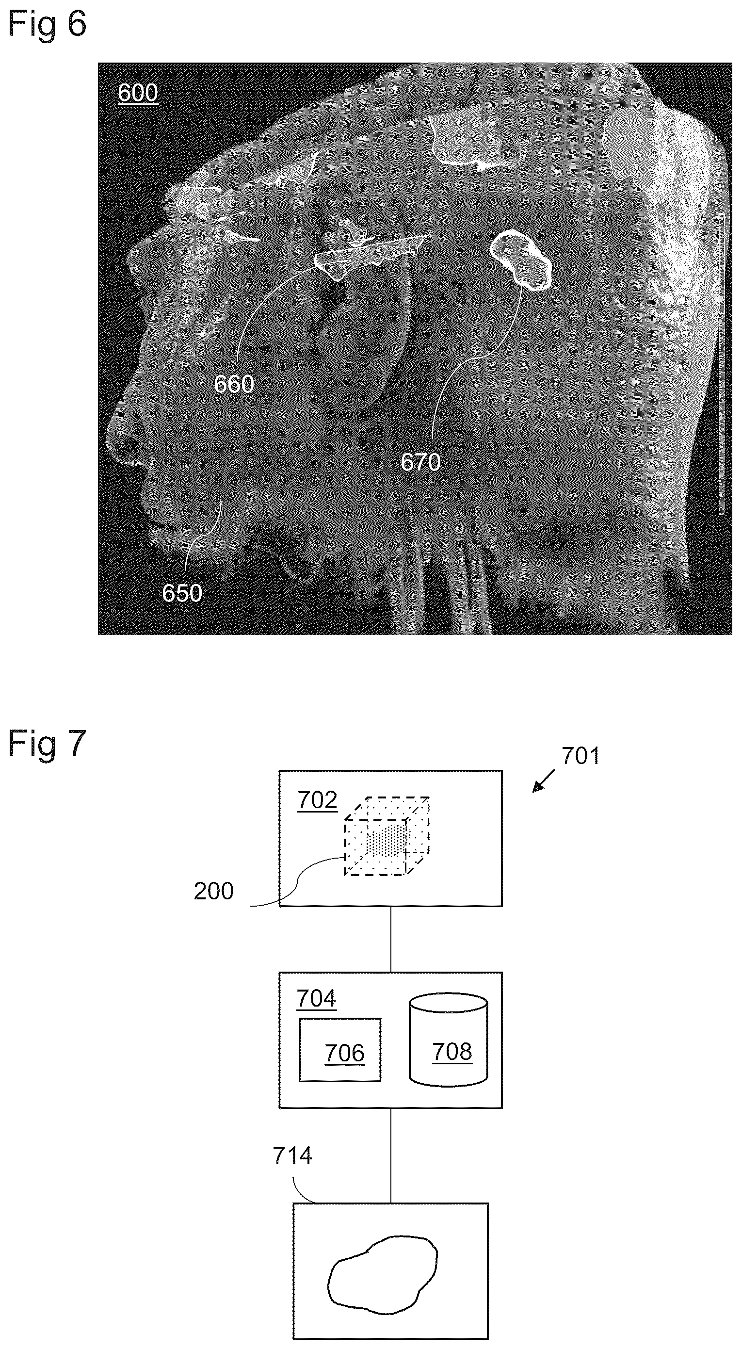 Patent US12322033 Figure 5 – Computer-implemented method for rendering medical volume data