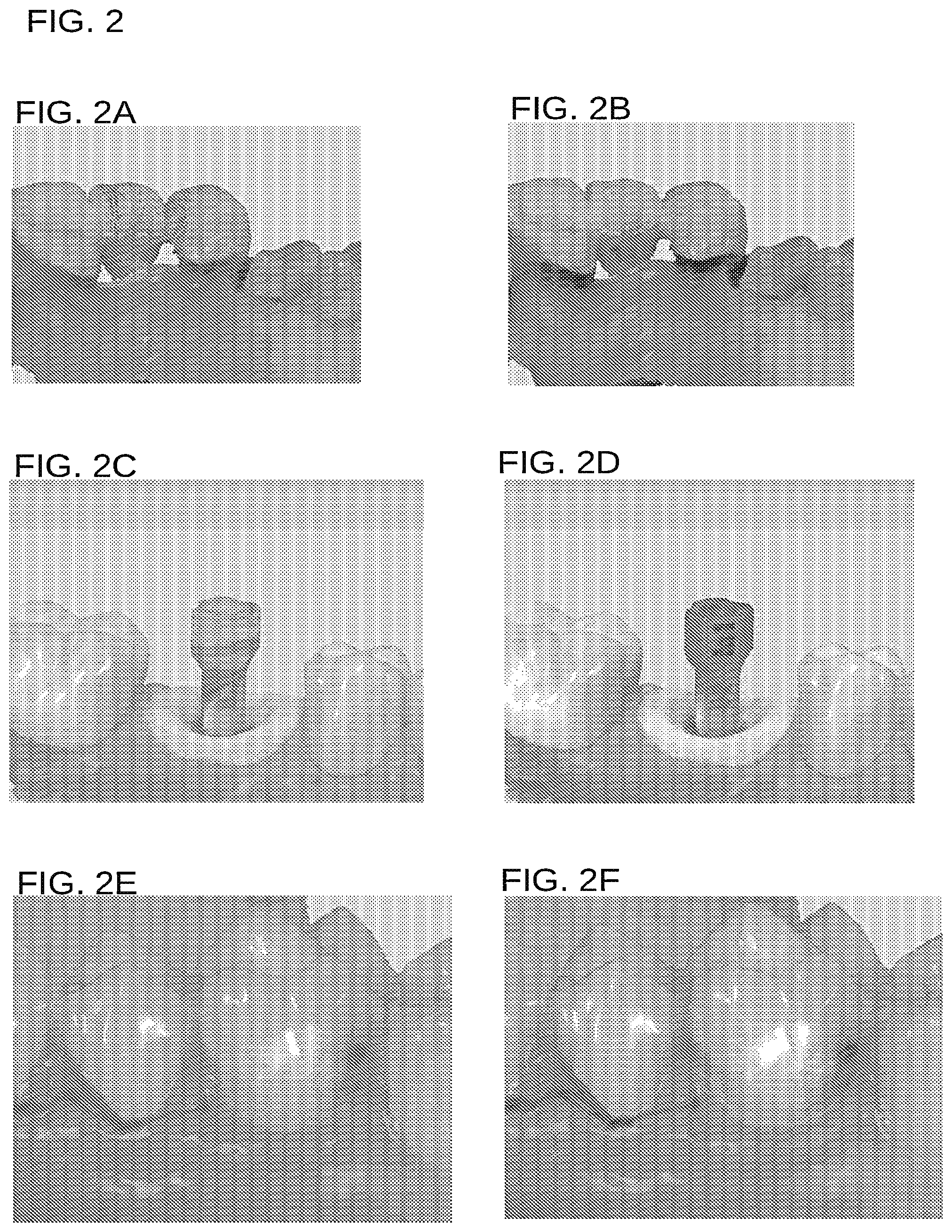 Patent US12322043 Figure 2 – Storage, rendering, and display of information of meshes through tessellation with serialized values