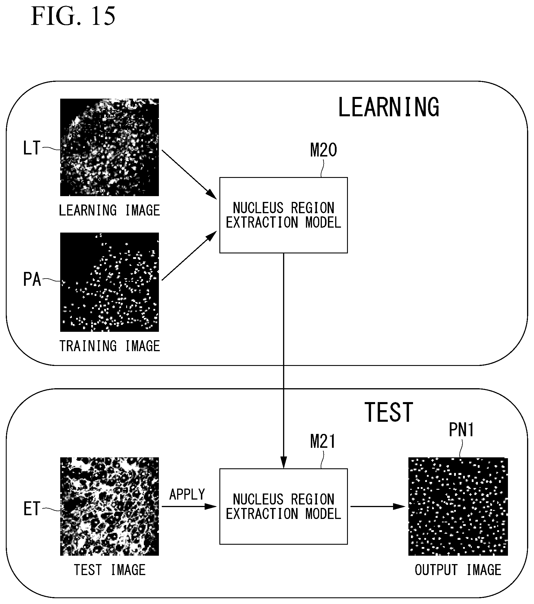 Patent US12322094 Figure 15 – Image acquiring device, cancer determination device, cancer determination method, and computer-readable medium