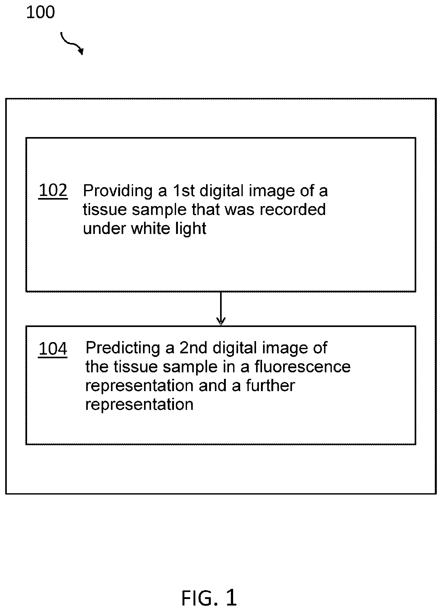 Patent US12322096 Figure 1 – Multi-task learning of white light photographs for a surgical microscope