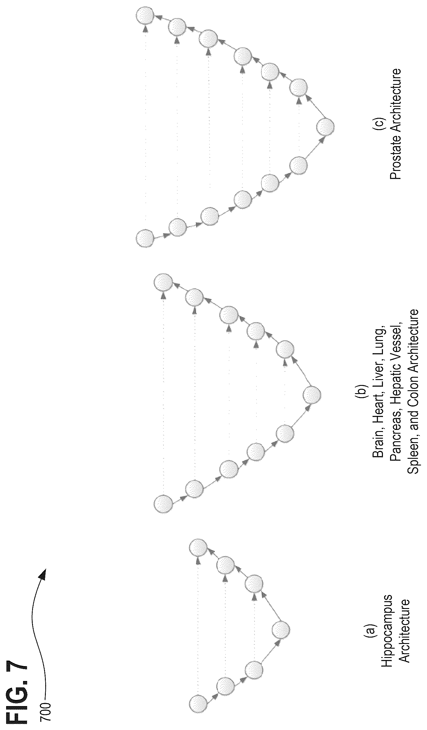 Patent US12322098 Figure 7 – Systems, methods, and apparatuses for generating pre-trained models for nnU-net through the use of improved transfer learning techniques