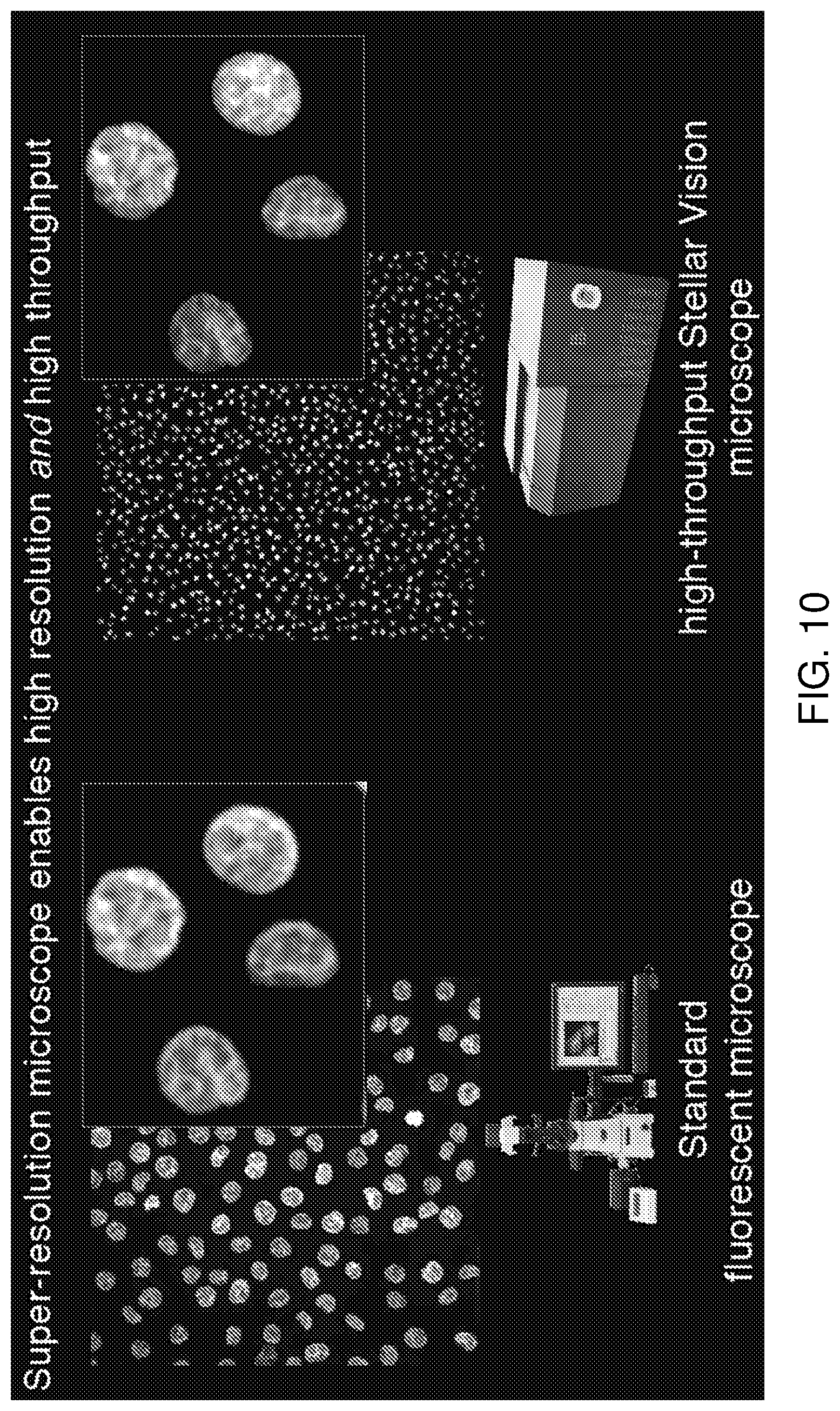 Patent US12322101 Figure 10 – Methods of analyzing microscopy images using machine learning